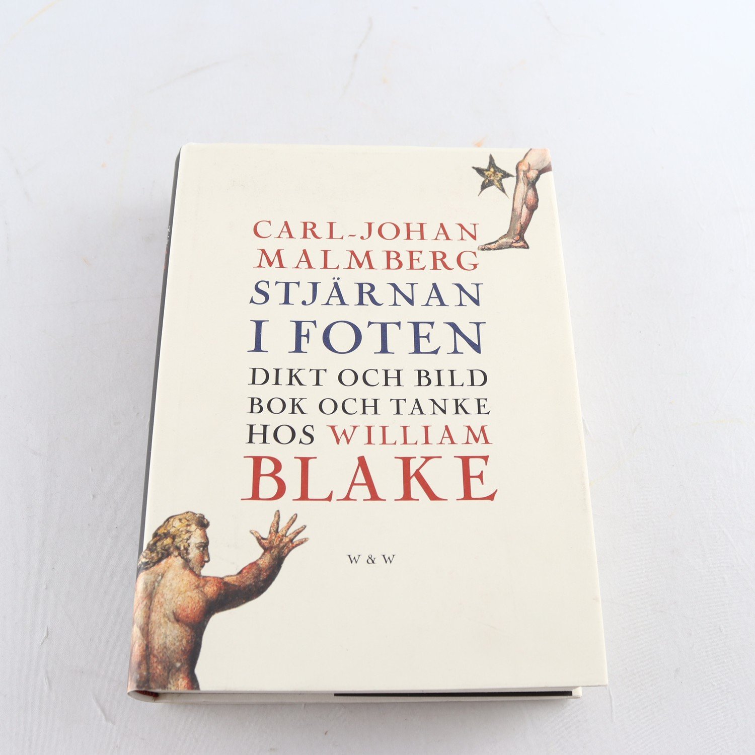 Stjärnan i foten: Dikt och bild, bok och tanke hos William Blake