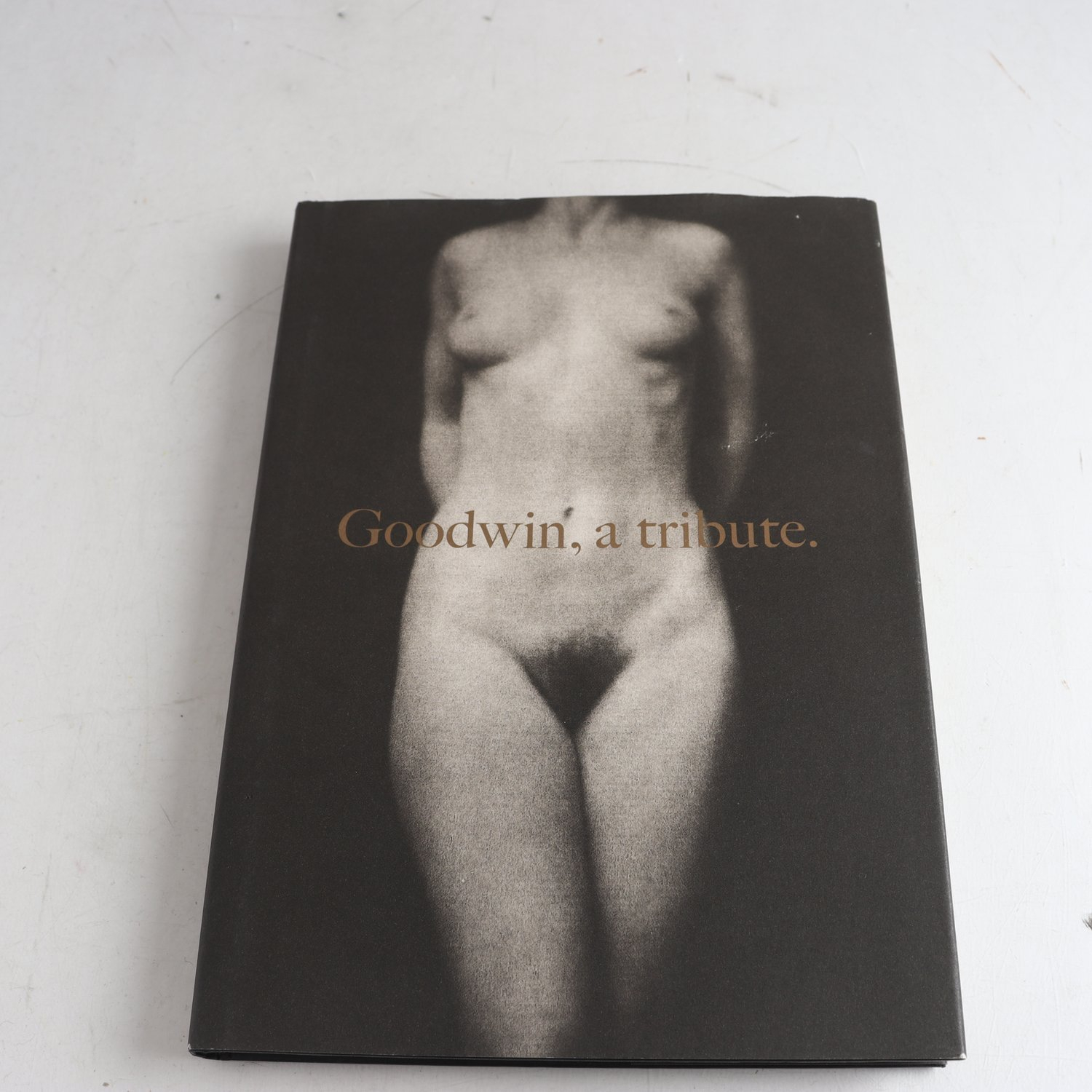 Goodwin, a tribute (English edition)