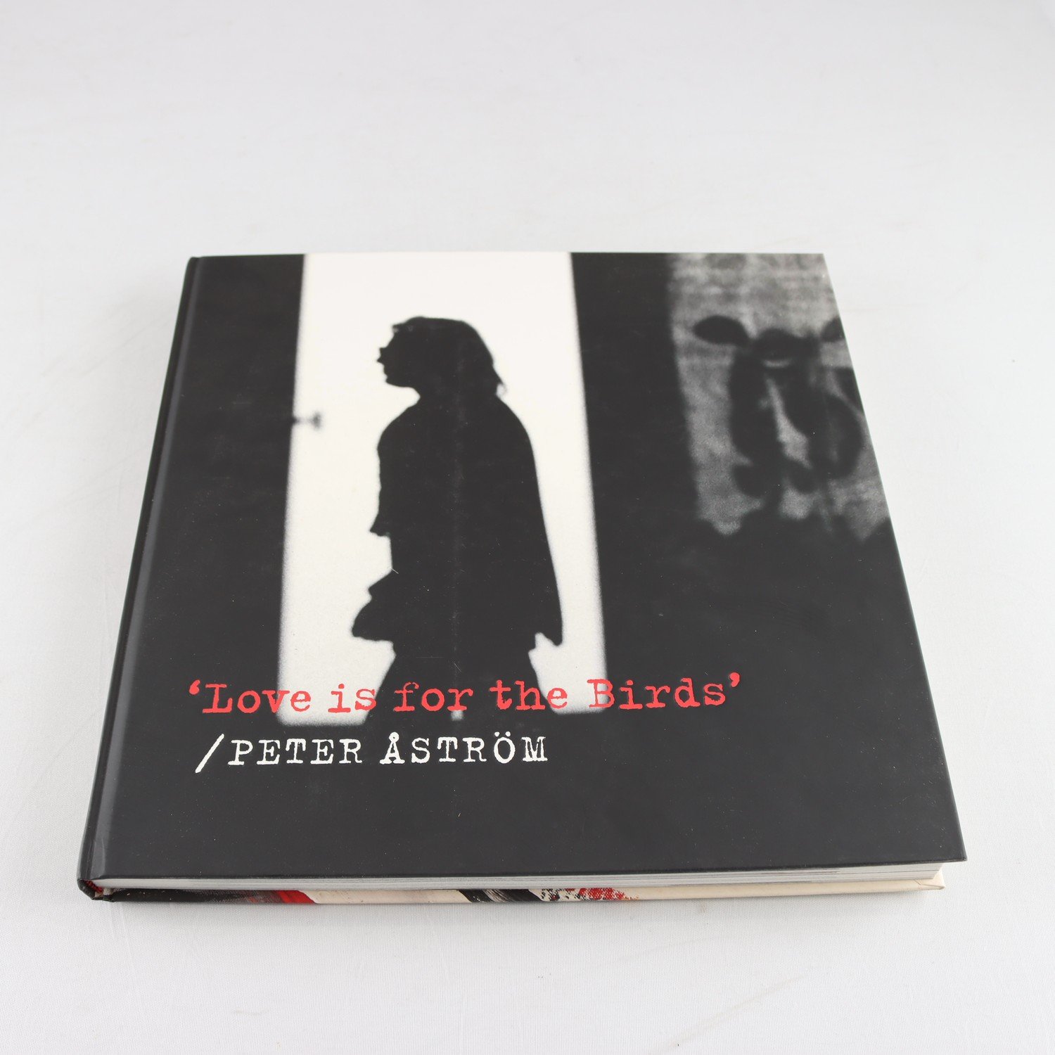 Peter Åström, ’Love is for the Birds’, signerad med dedikation