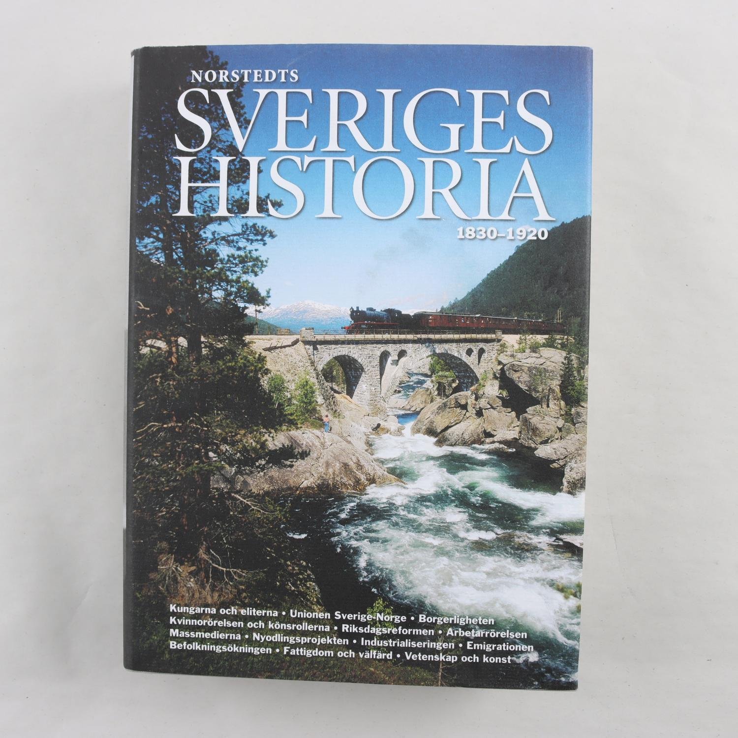 Bo Stråth, Norstedts Sveriges historia 1830-1920