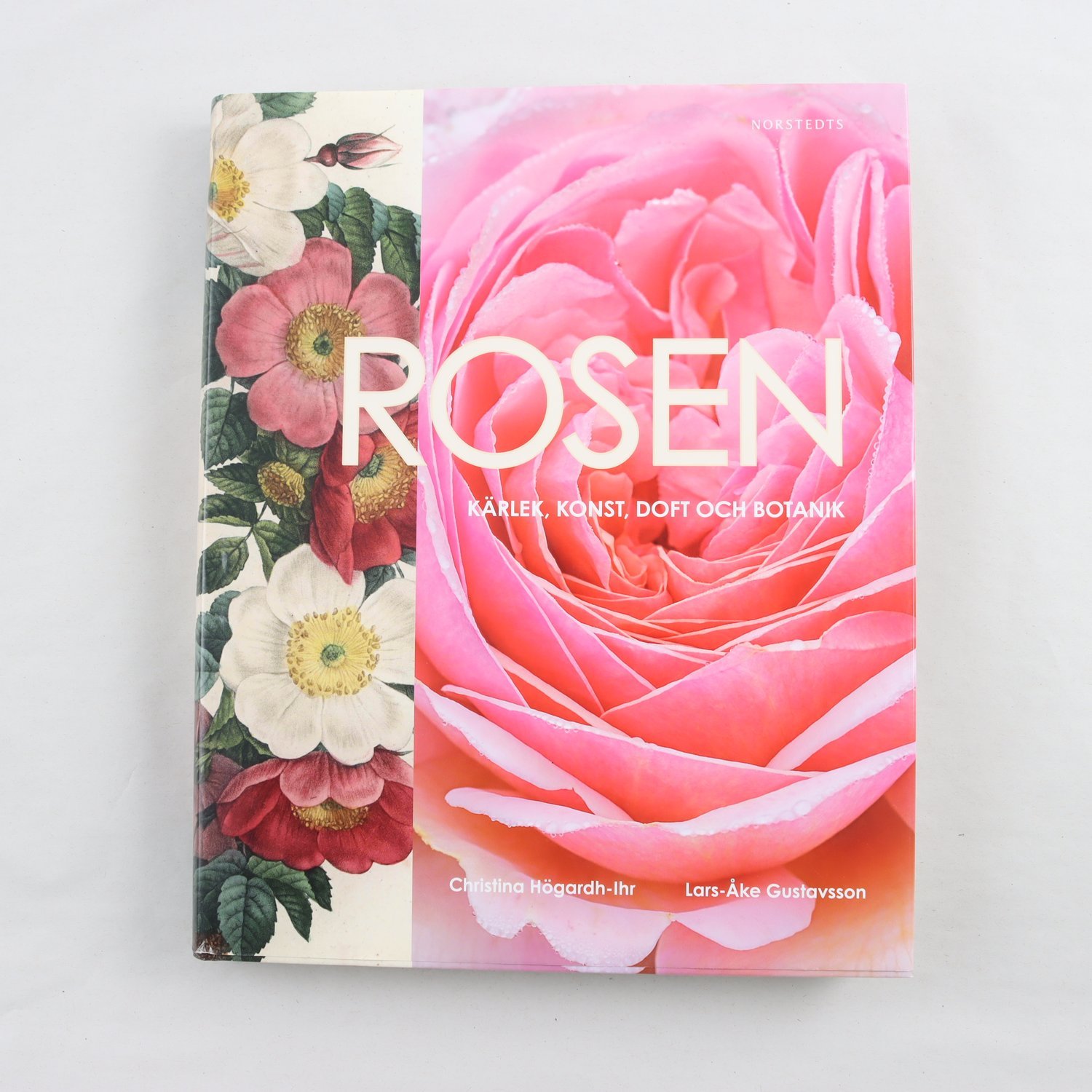Rosen: Kärlek, konst, doft och botanik