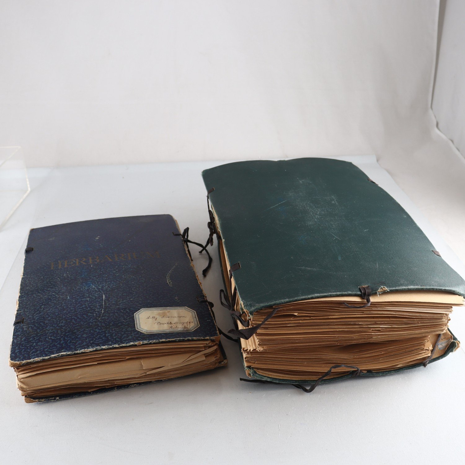 Herbarium, 2st. Endast avhämtning.