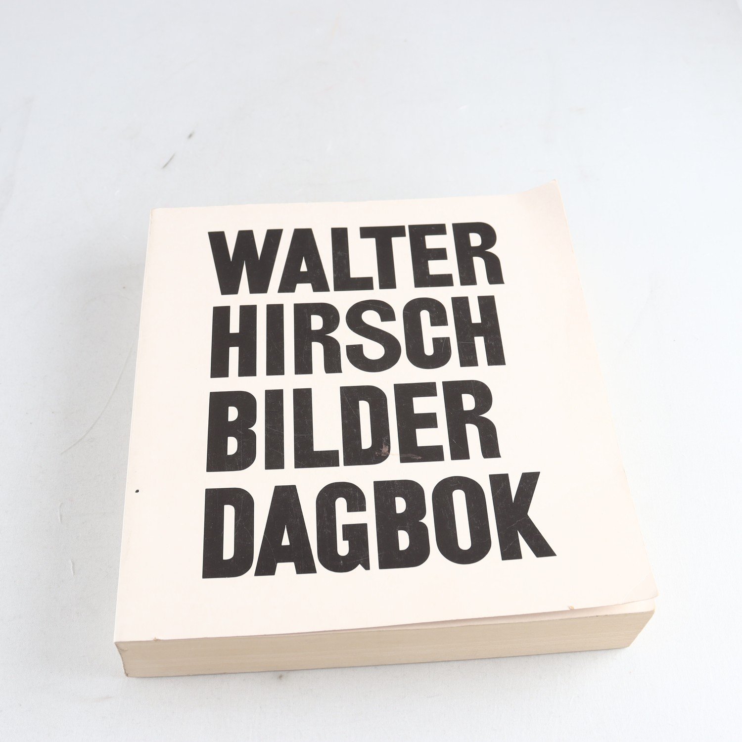 Walter Hirsch, Bilder dagbok