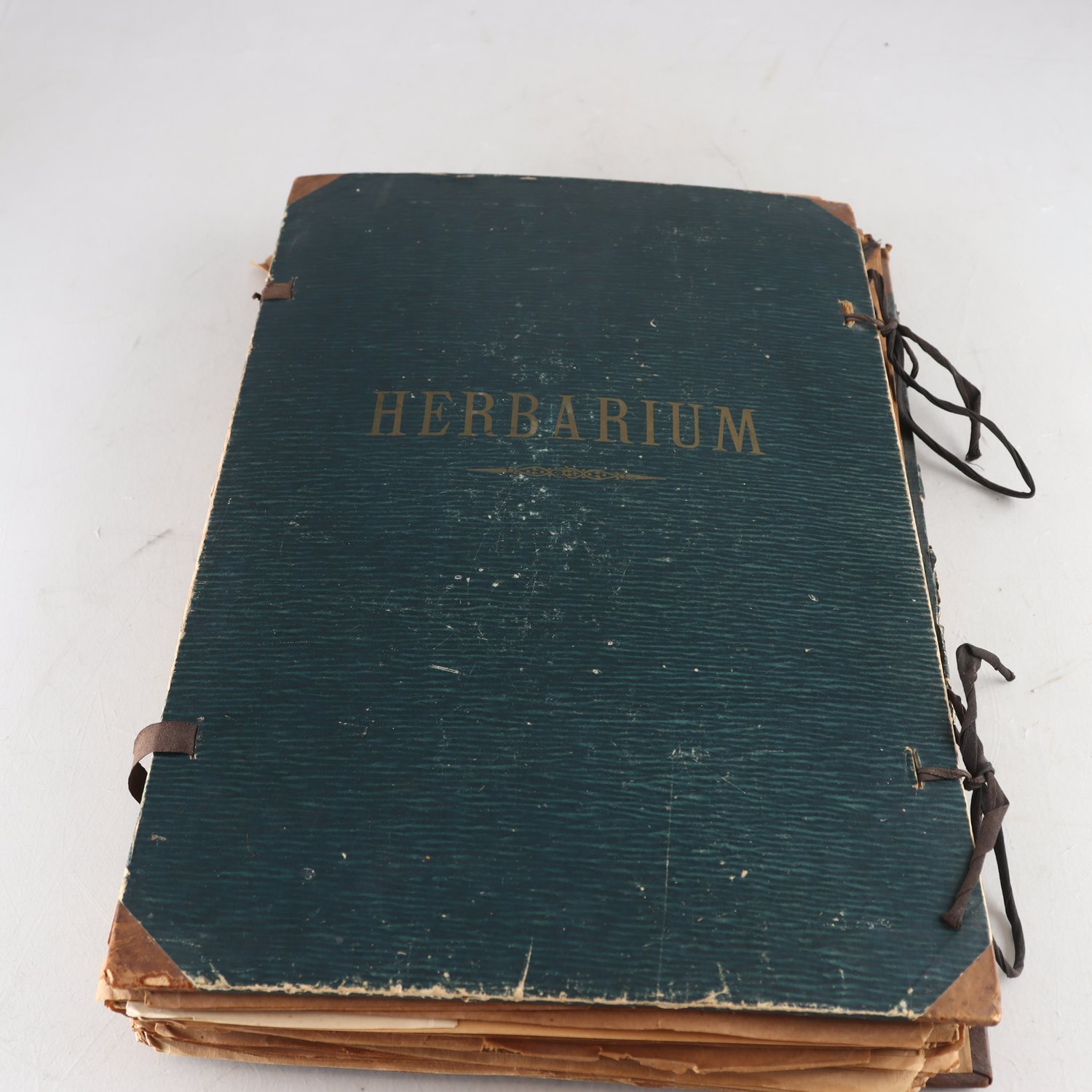 Herbarium. Endast avhämtning.