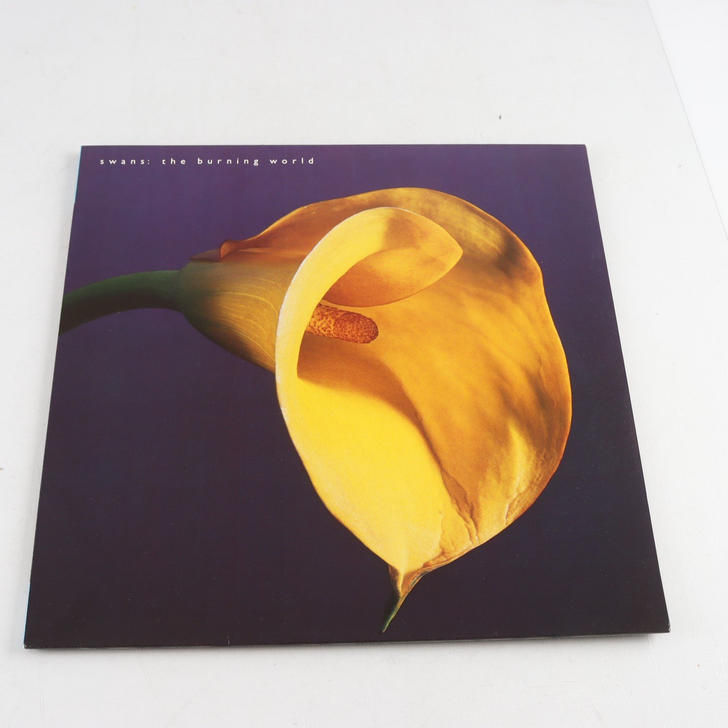 LP Swans, The Burning World