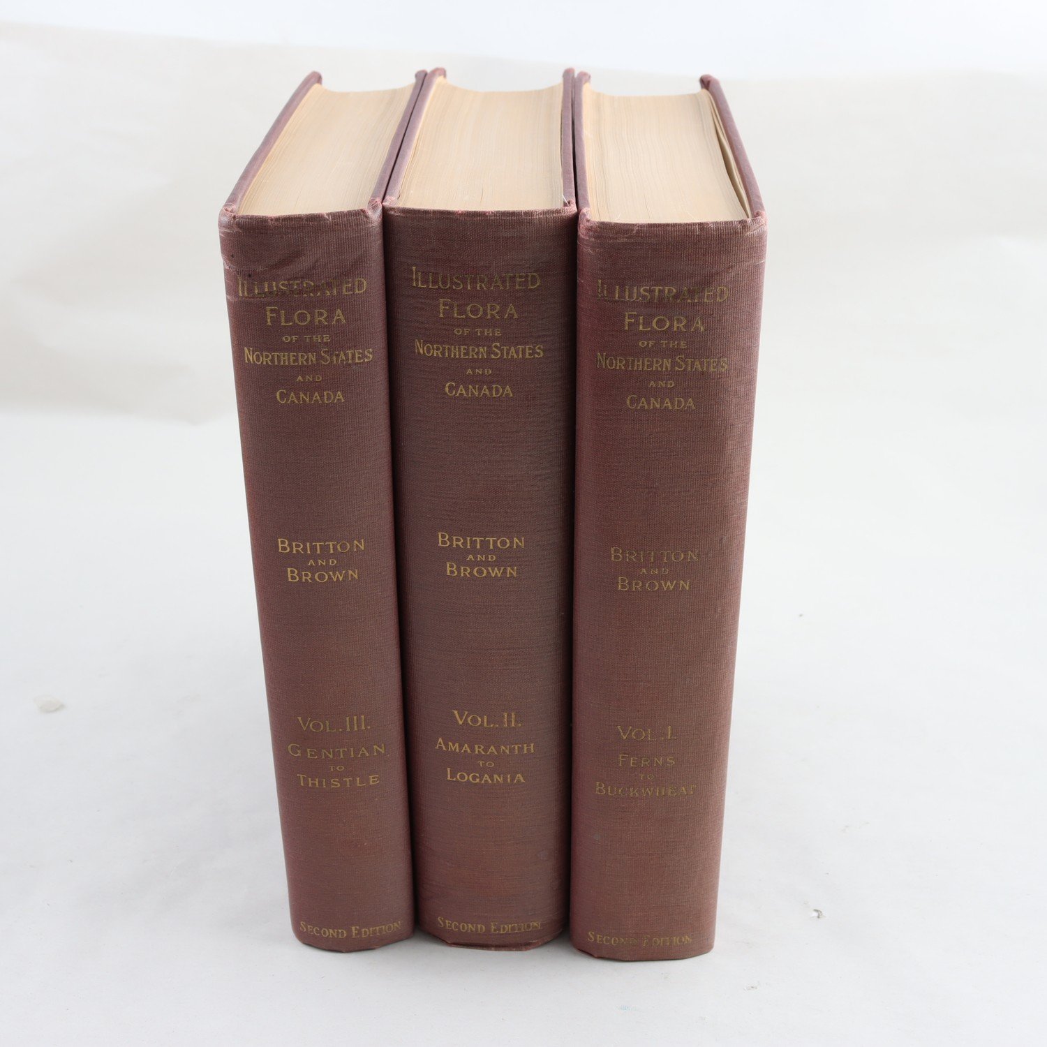 Illustrated Flora of the Northern States and Canada, Vol. I-III Samfraktas ej