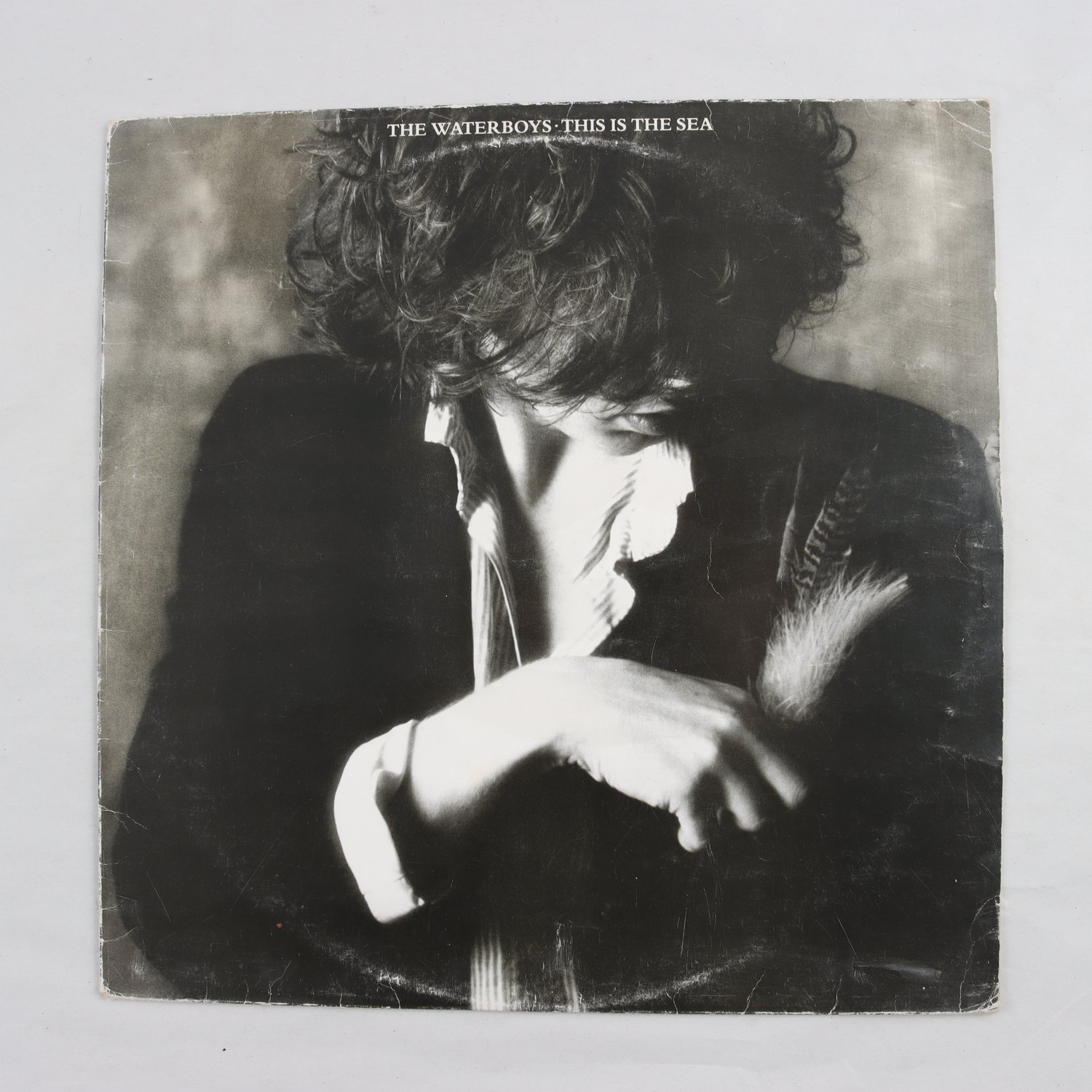 LP The Waterboys, This Is The Sea