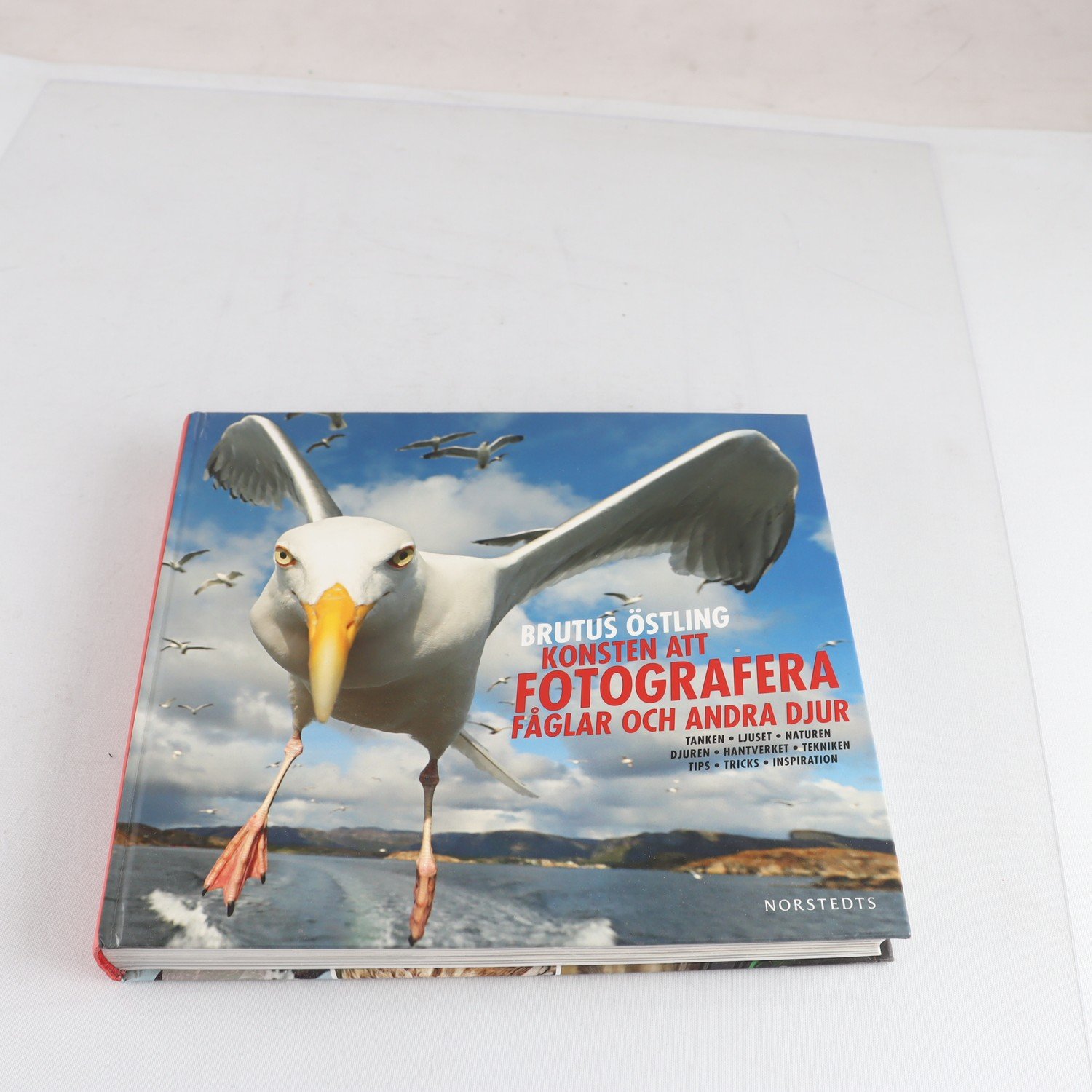Brutus Östling, Konsten att fotografera fåglar och andra djur