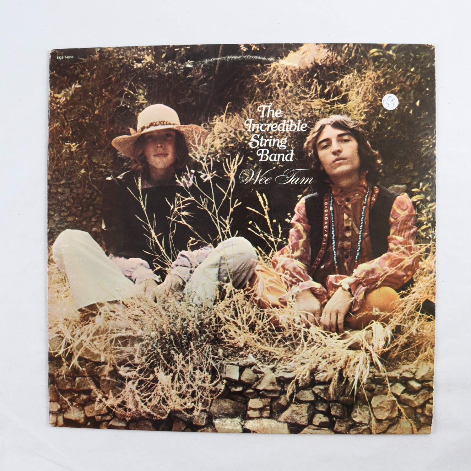 LP The Incredible String Band, Wee Tam