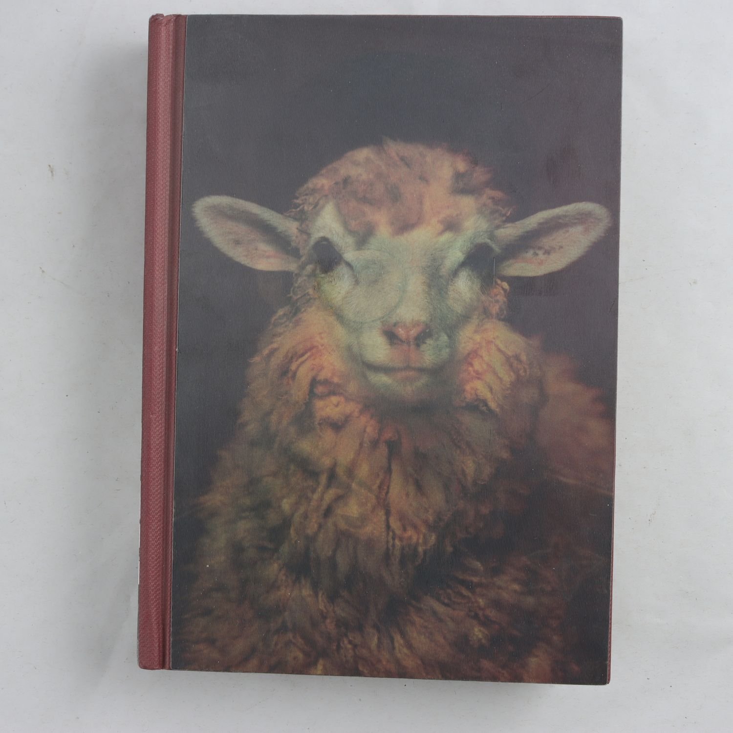 CD Lay, Lay 02 Sheep