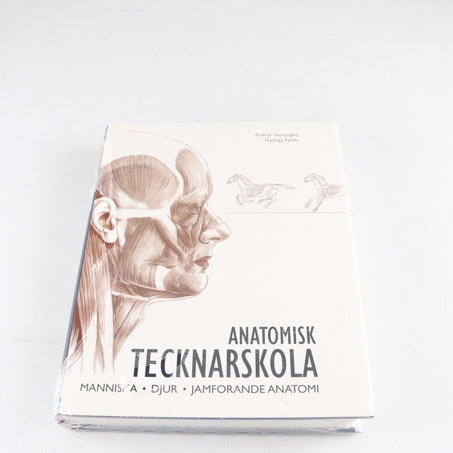 Anatomisk tecknarskola: Människa djur anatomi (inplastad)