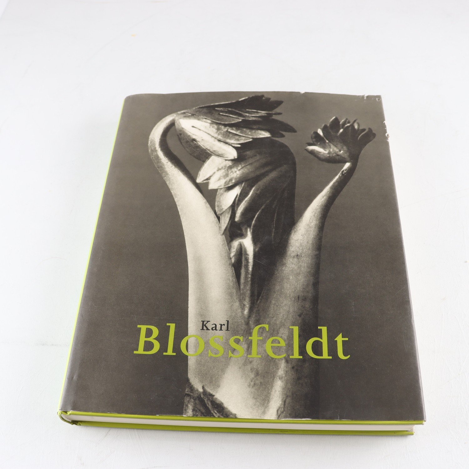 Karl Blossfeldt, Hans Christian Adam, Taschen