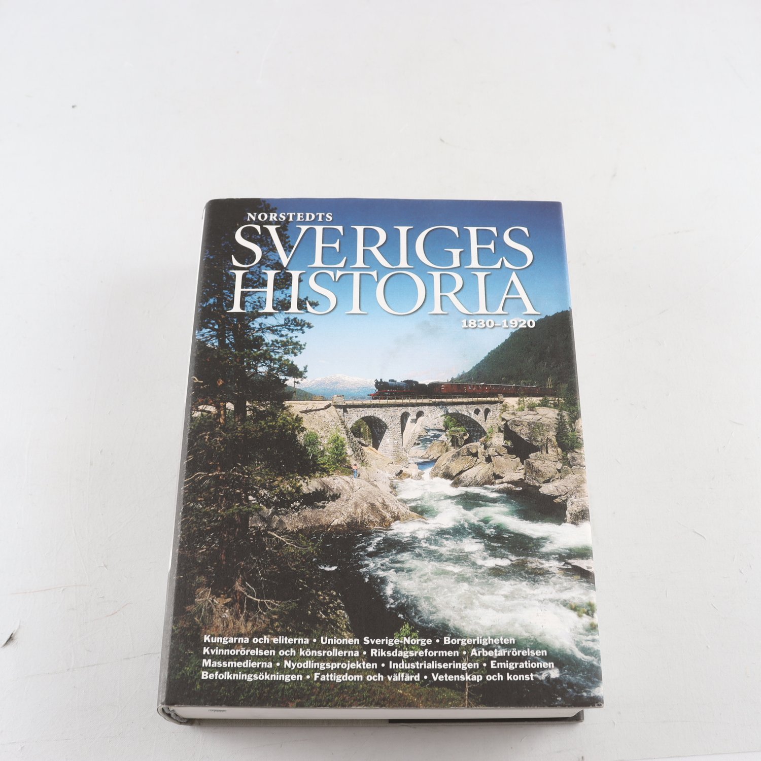 Bo Stråth, Norstedts Sveriges historia 1830-1920