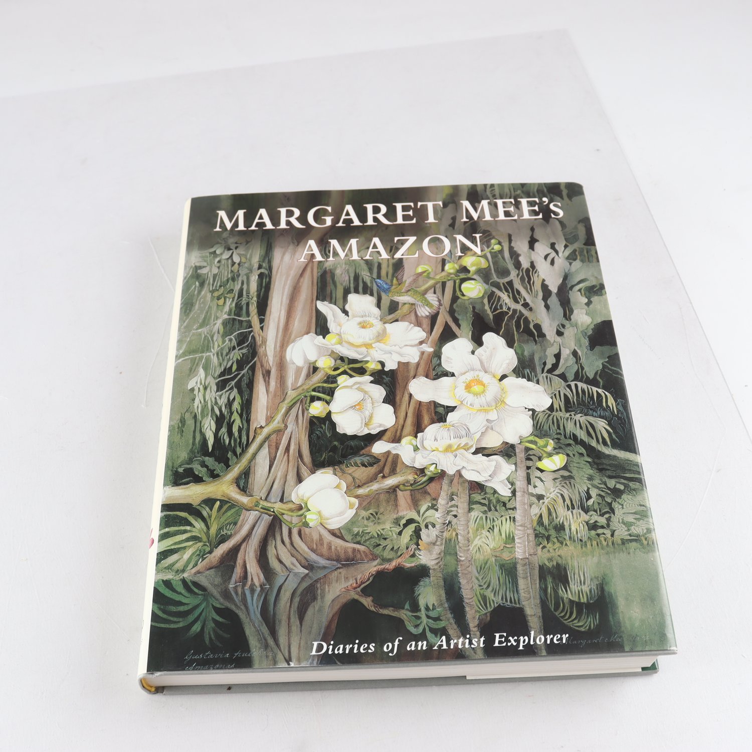 Margaret Mee´s Amazon: Diaries of an Artist Explorer