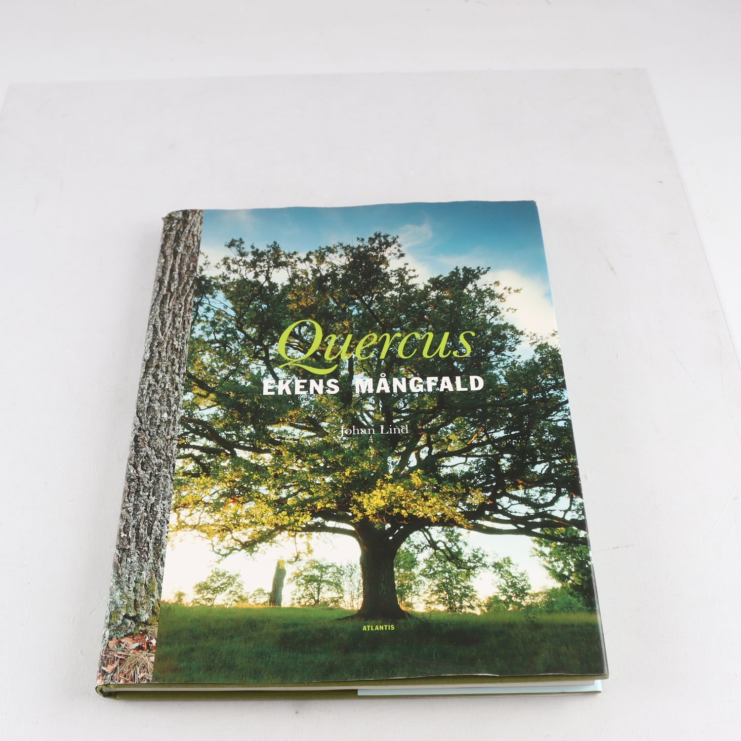 Quercus, Ekens mångfald, Johan Lind
