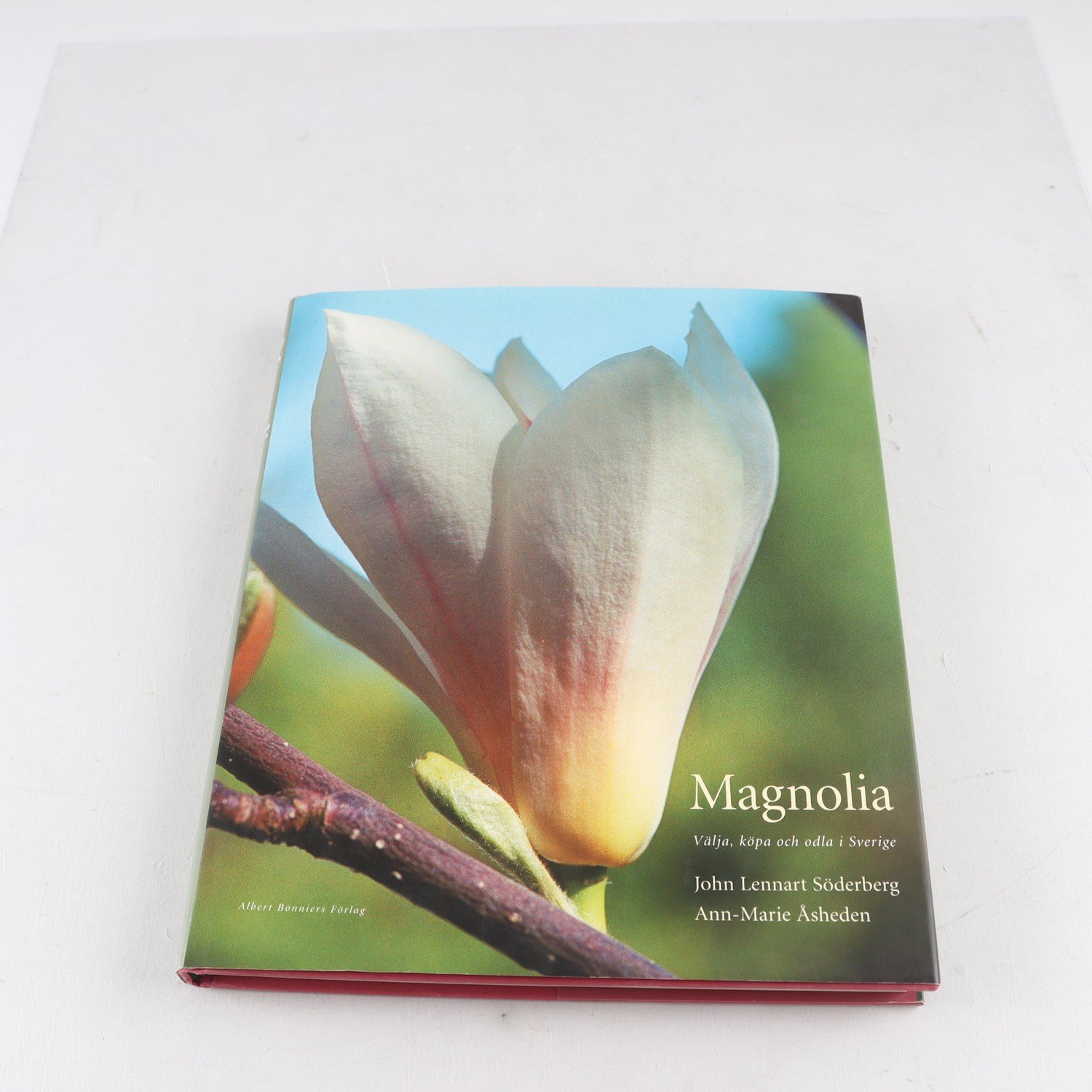 Magnolia: Välja, köpa och odla i Sverige