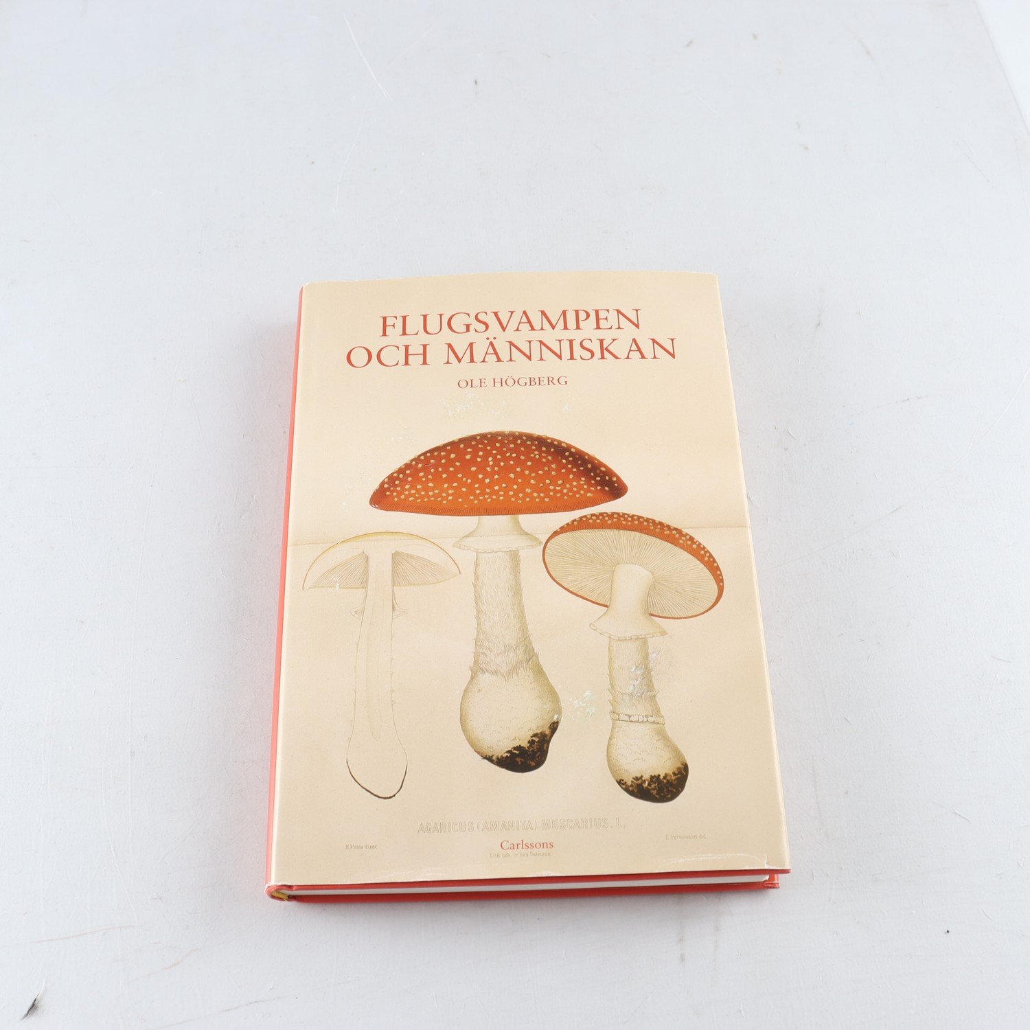 Ole Högberg, Flugsvampen och människan