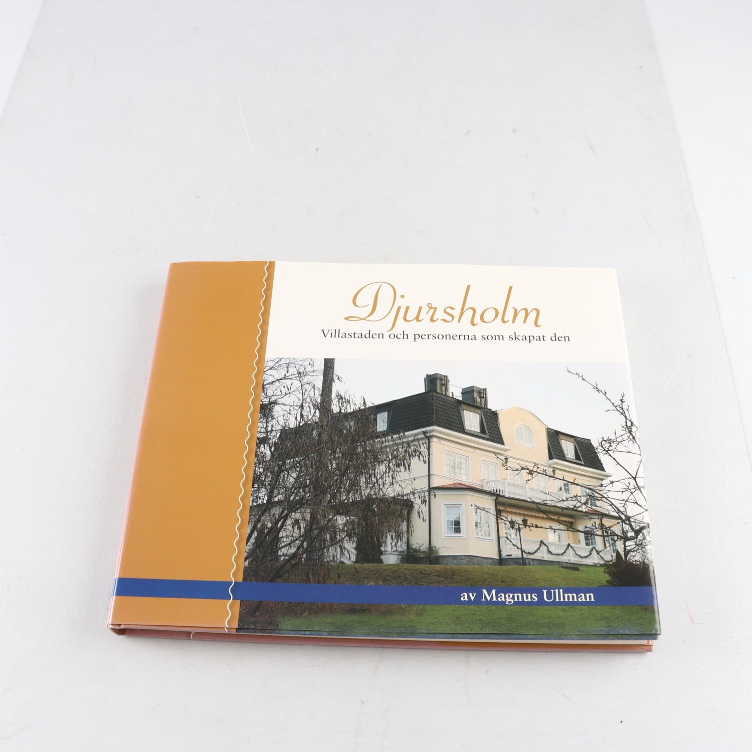 Djursholm: Villastaden och personerna som skapat den