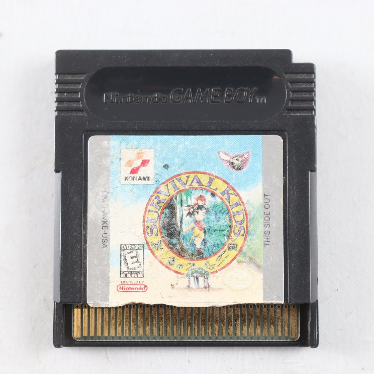 Tv-spel, Nintendo, Game Boy, Survival Kids
