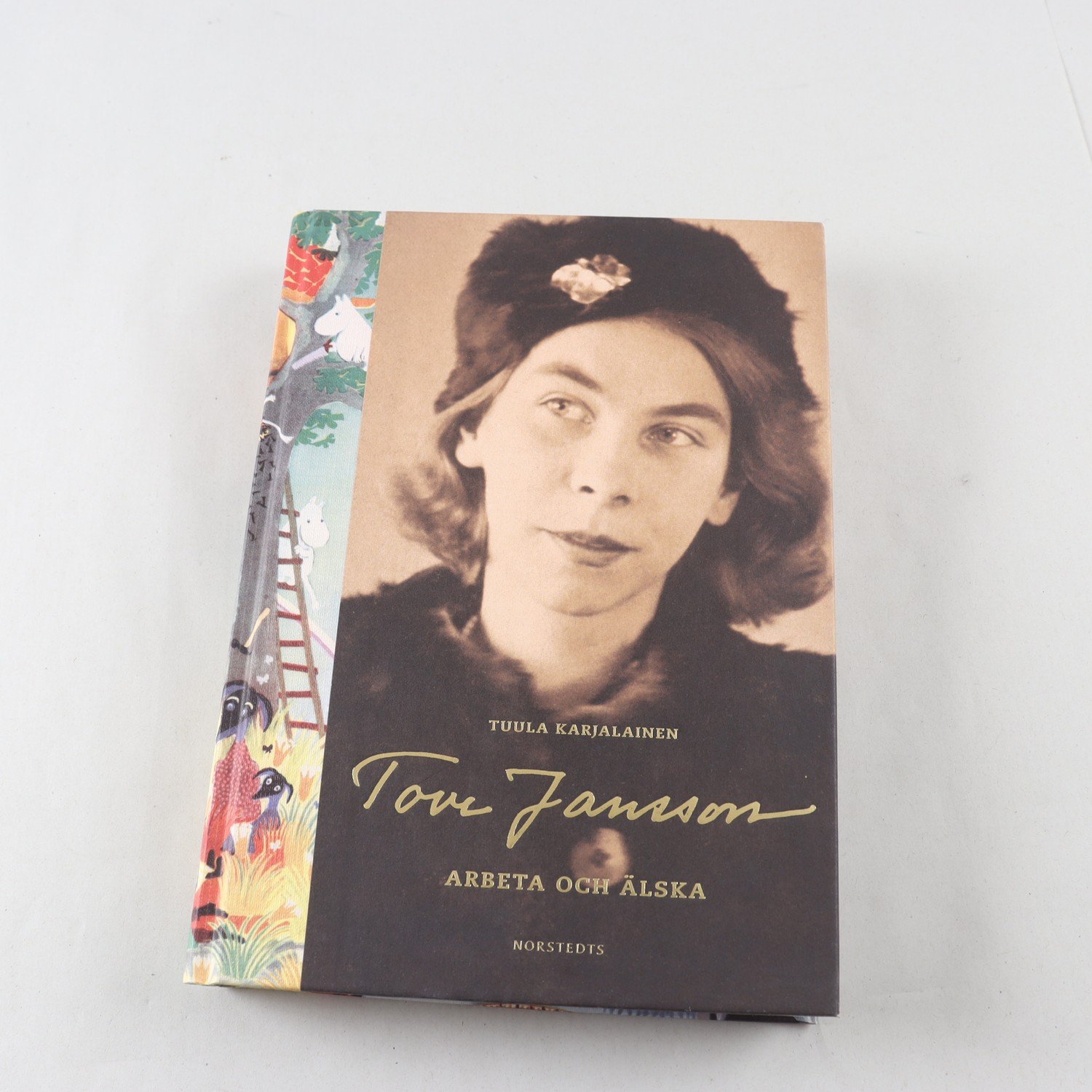 Tuula Karjalainen, Tove Jansson: Arbeta och älska
