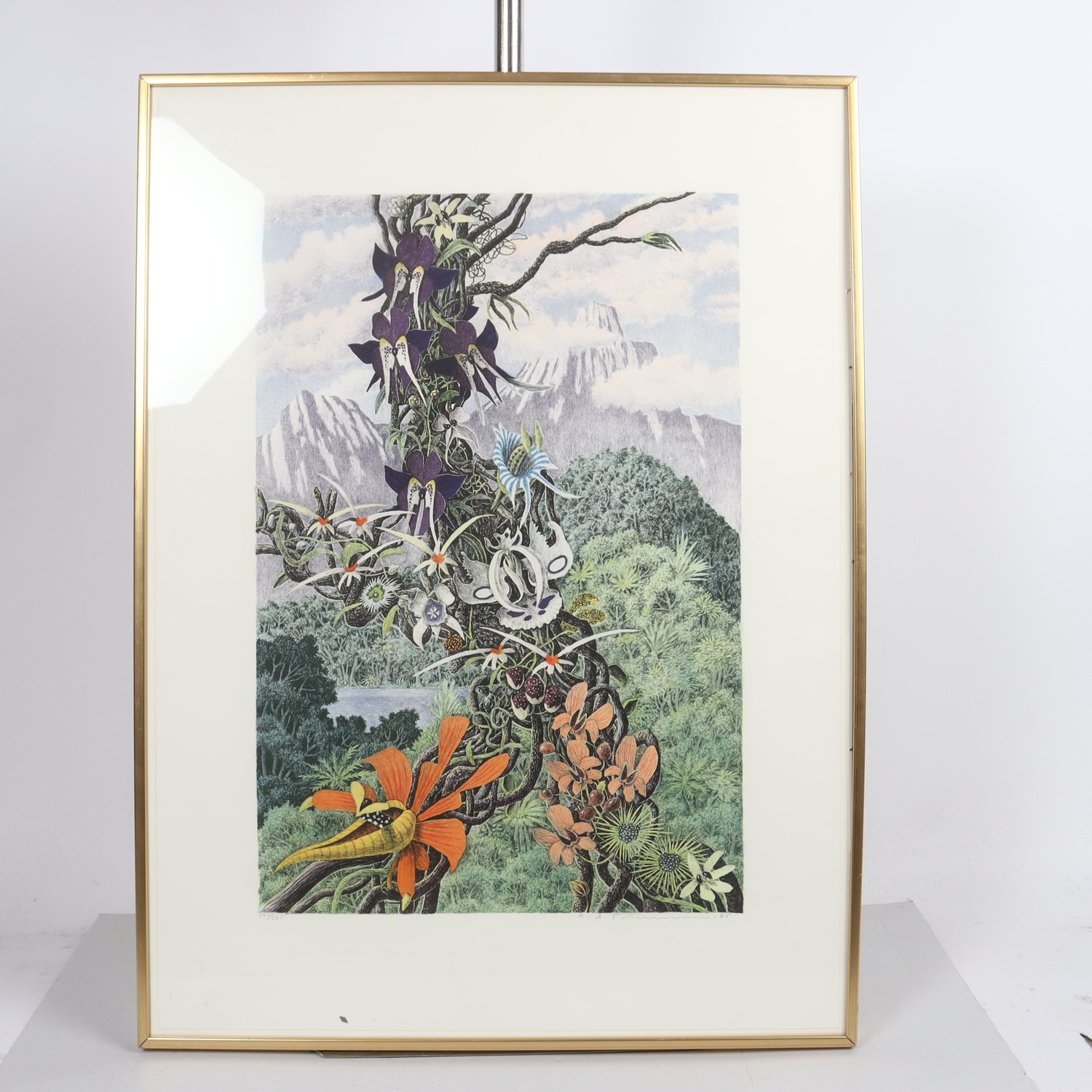 Litografi, Karl Axel Pehrson, 1988. Endast avhämtning.
