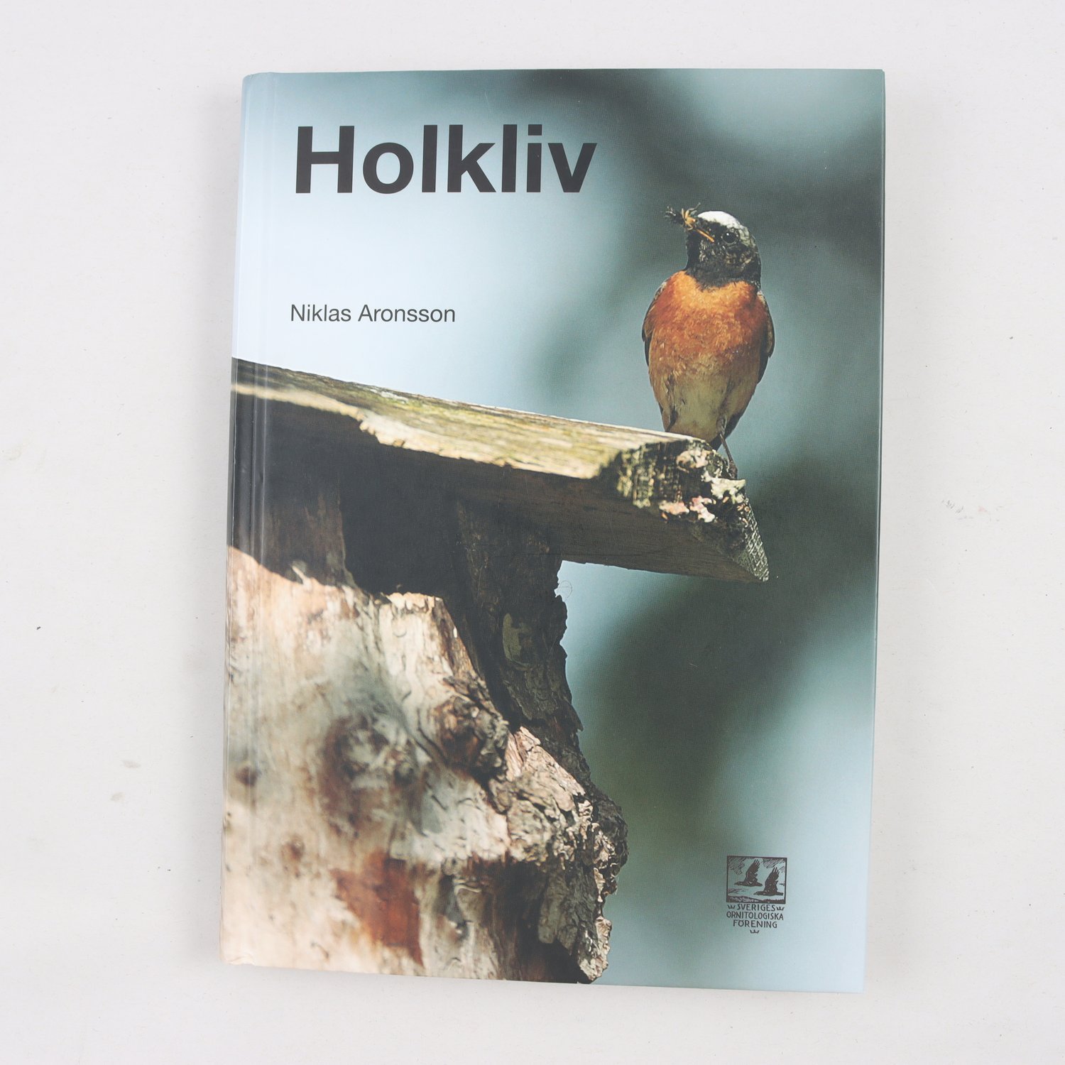Niklas Aronsson, Holkliv