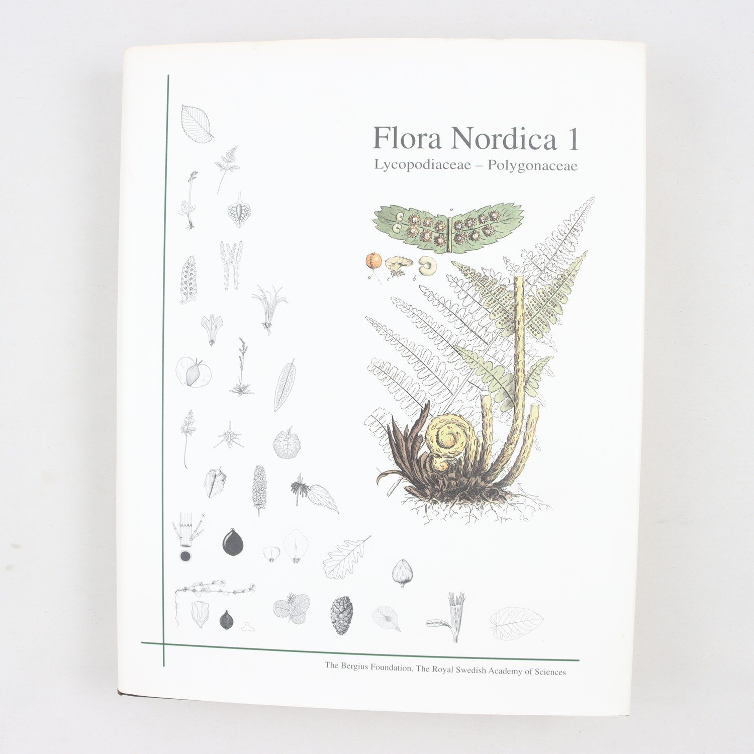 Flora Nordica 1: Lycopodiaceae – Polygonaceae