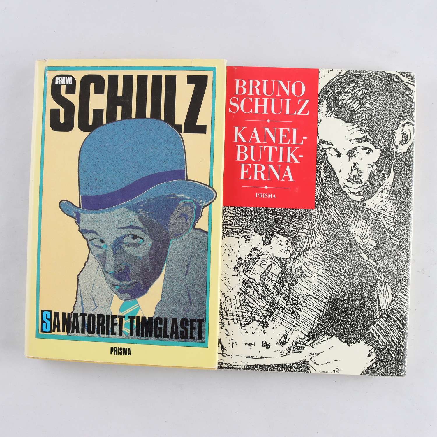 Bruno Schultz, Sanatoriet Timglaset + Kanelbutikerna