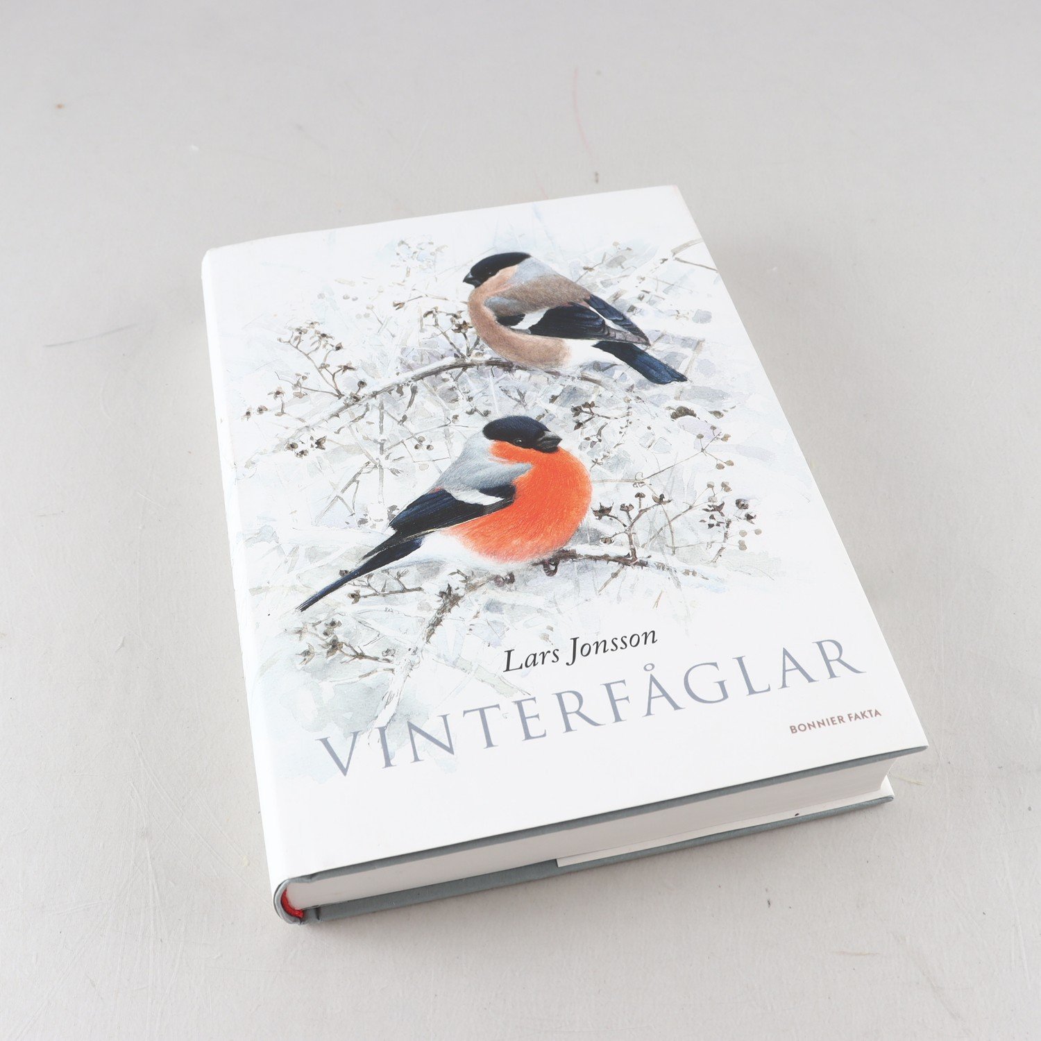 Lars Jonsson, Vinterfåglar