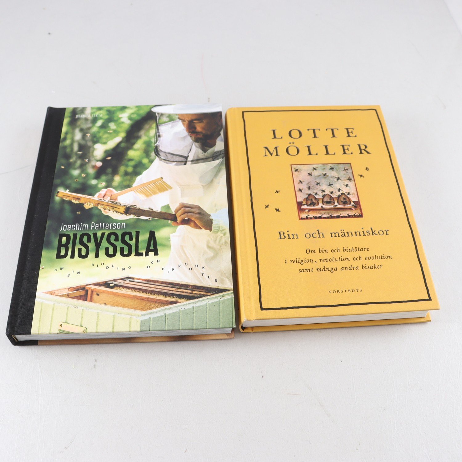 Joachim Petterson, Bisyssla + Lotte Möller, Bin och människor