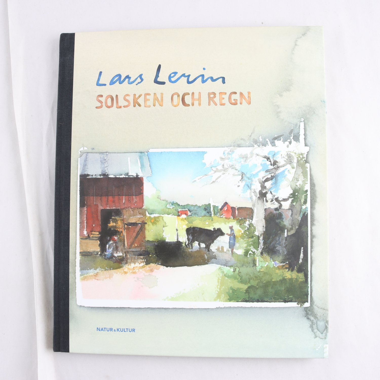 Lars Lerin, Solsken och regn