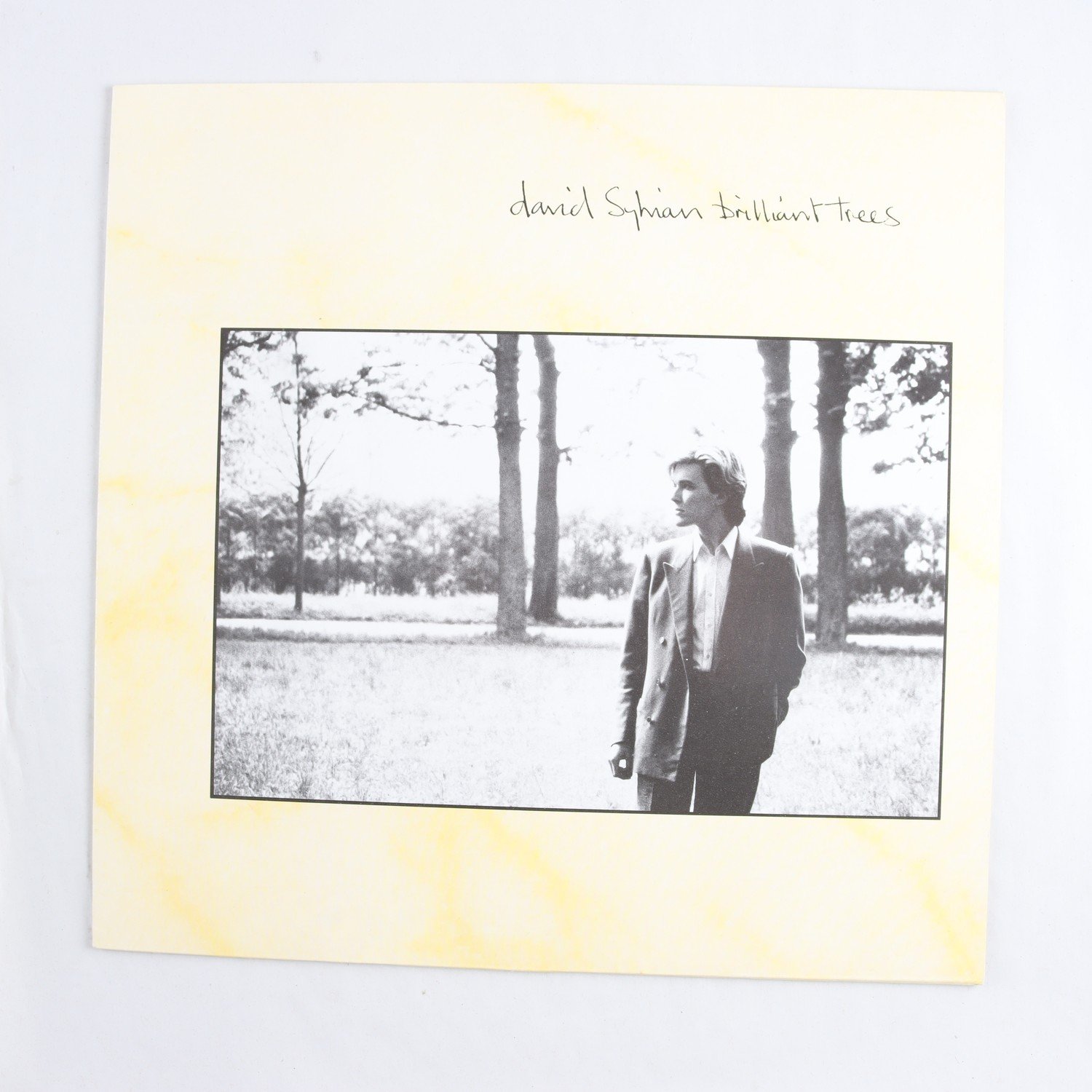 LP David Sylvian, Brilliant Trees & Secrets of the Beehive