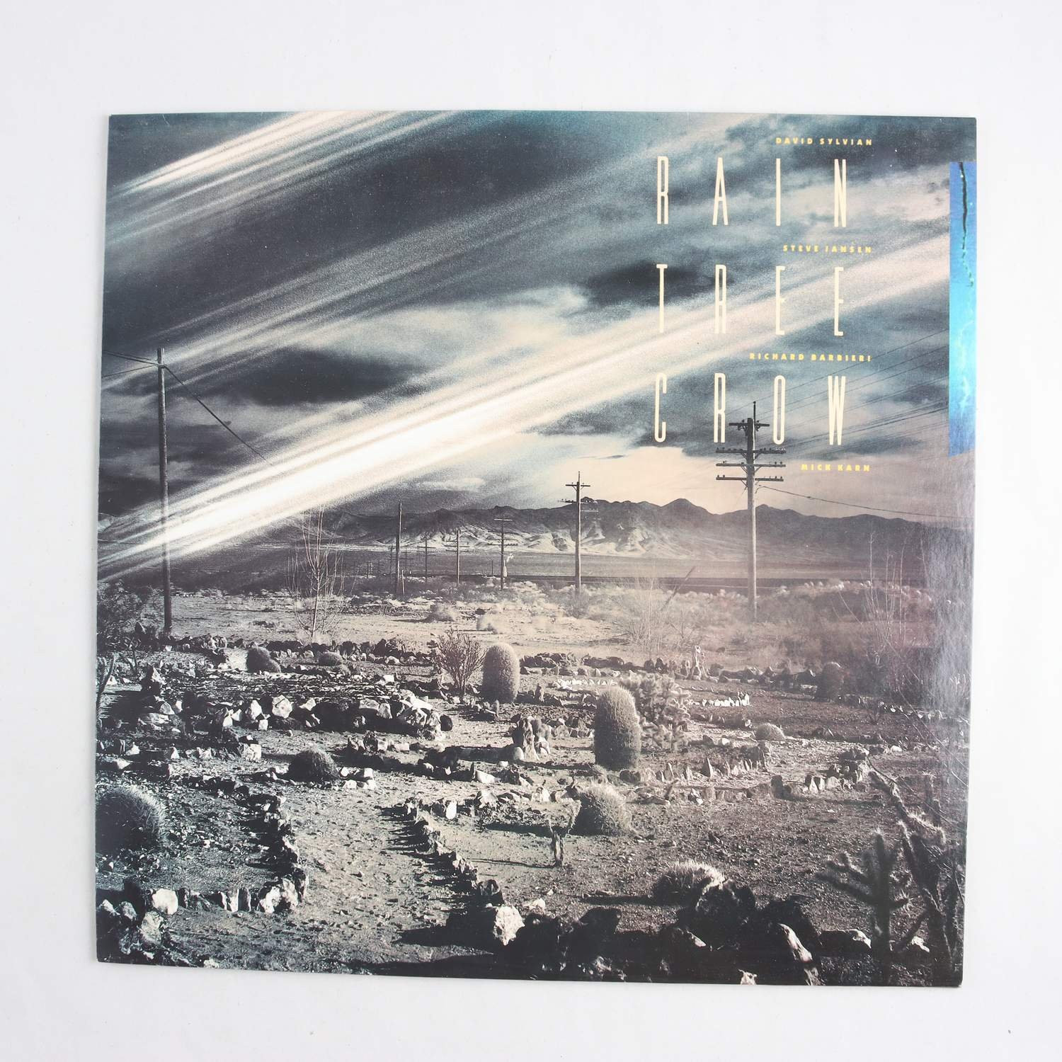 LP Rain Tree Crow, S/T