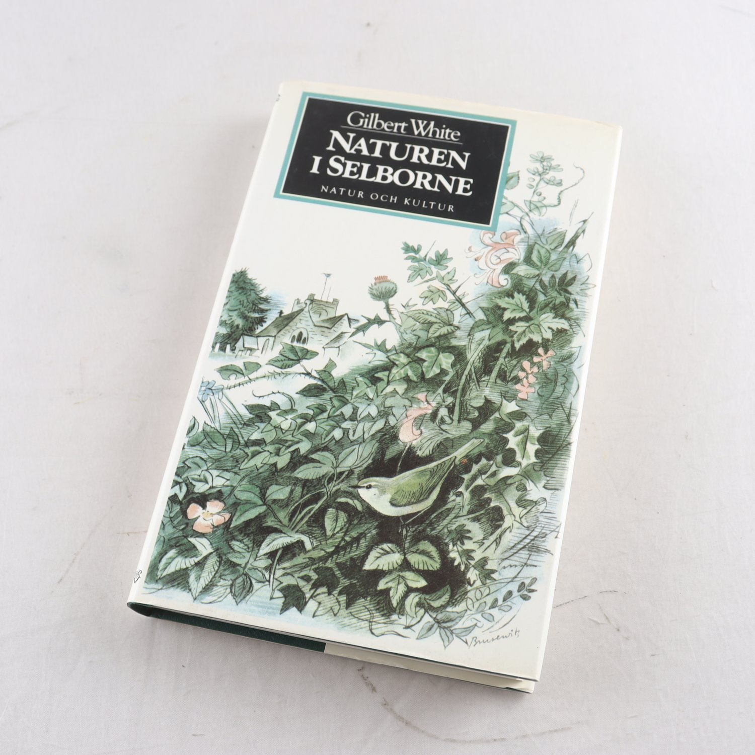 Gilbert White, Naturen i Selborne