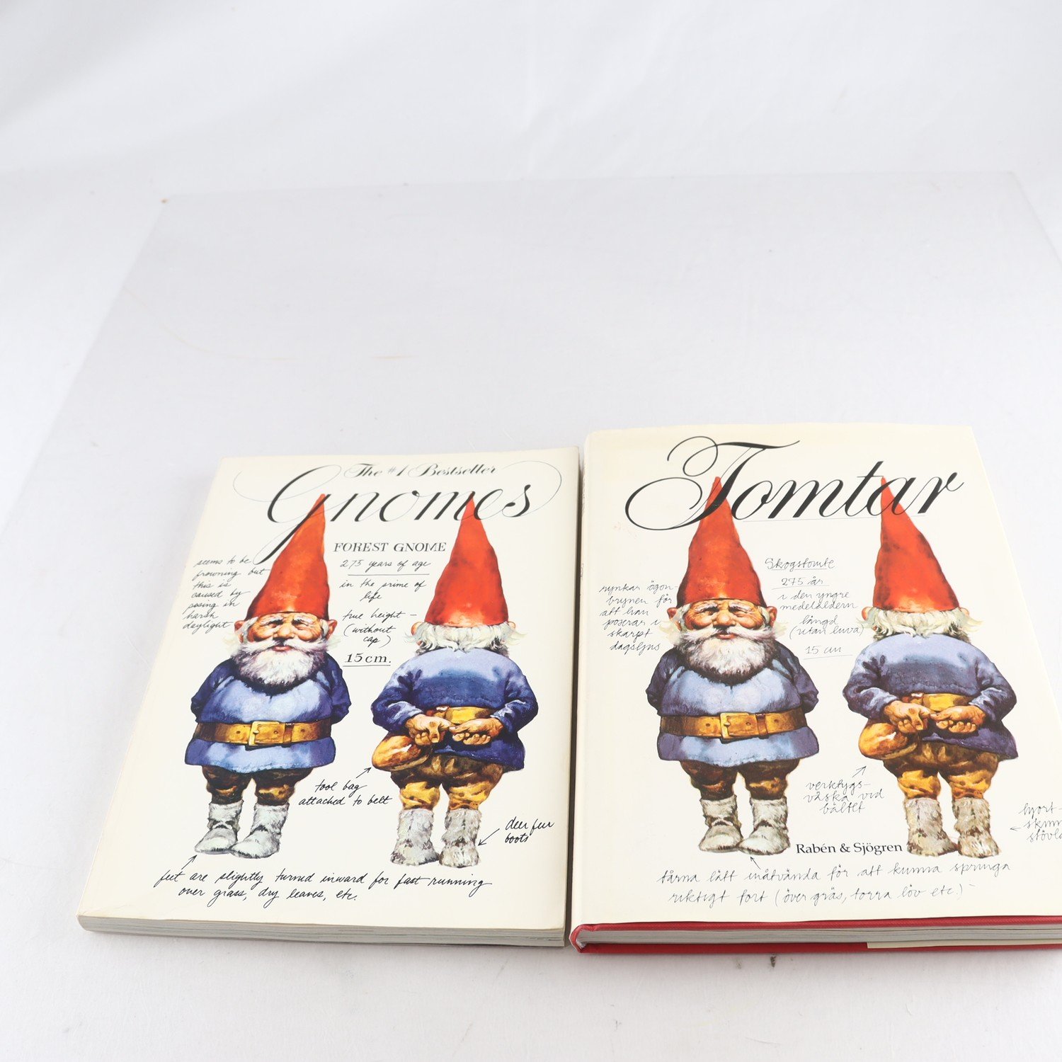 Wil Huygen & Rien Poortvliet, Tomtar / Gnomes