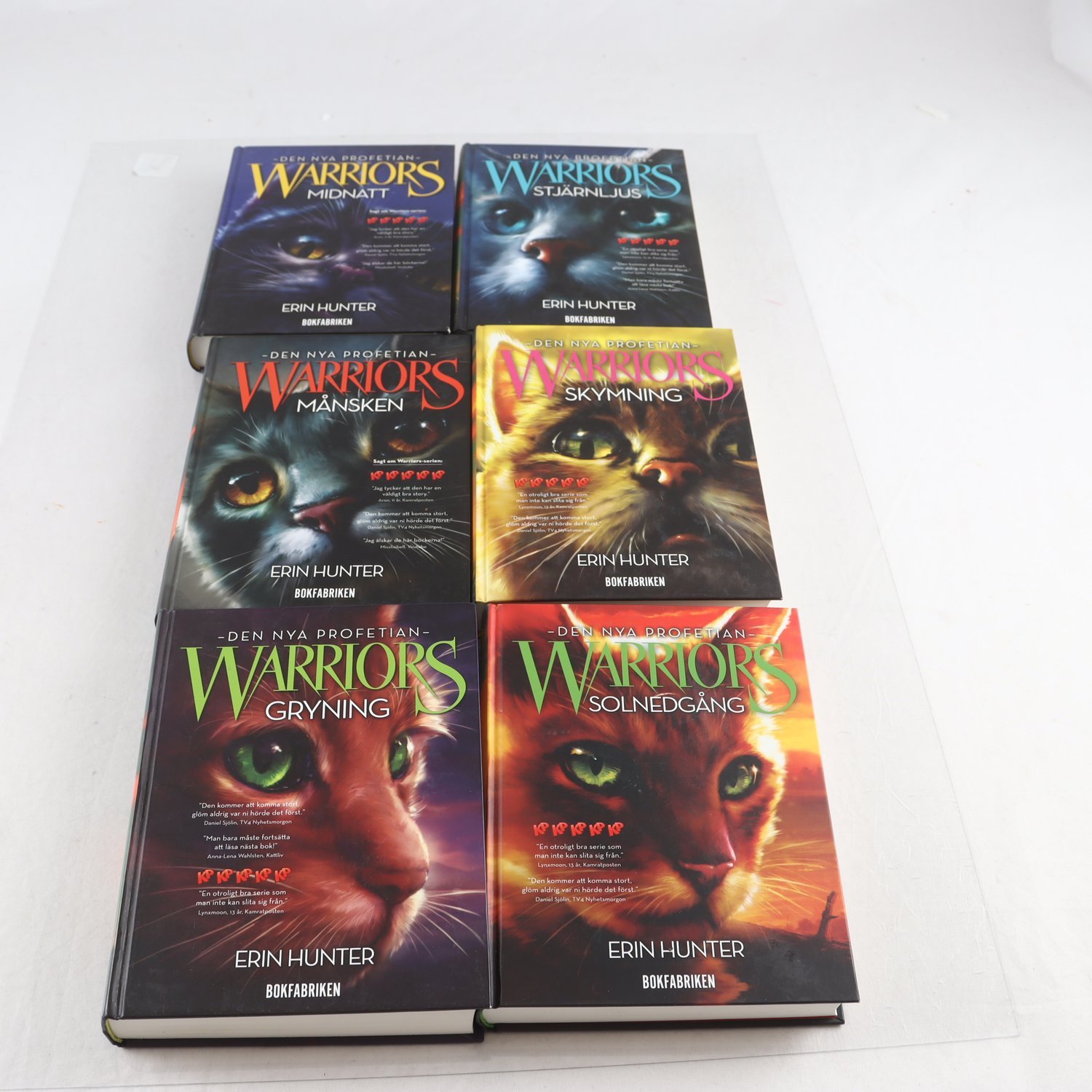 Erin Hunter, Warriors: Den nya profetian, Vol. 1-6