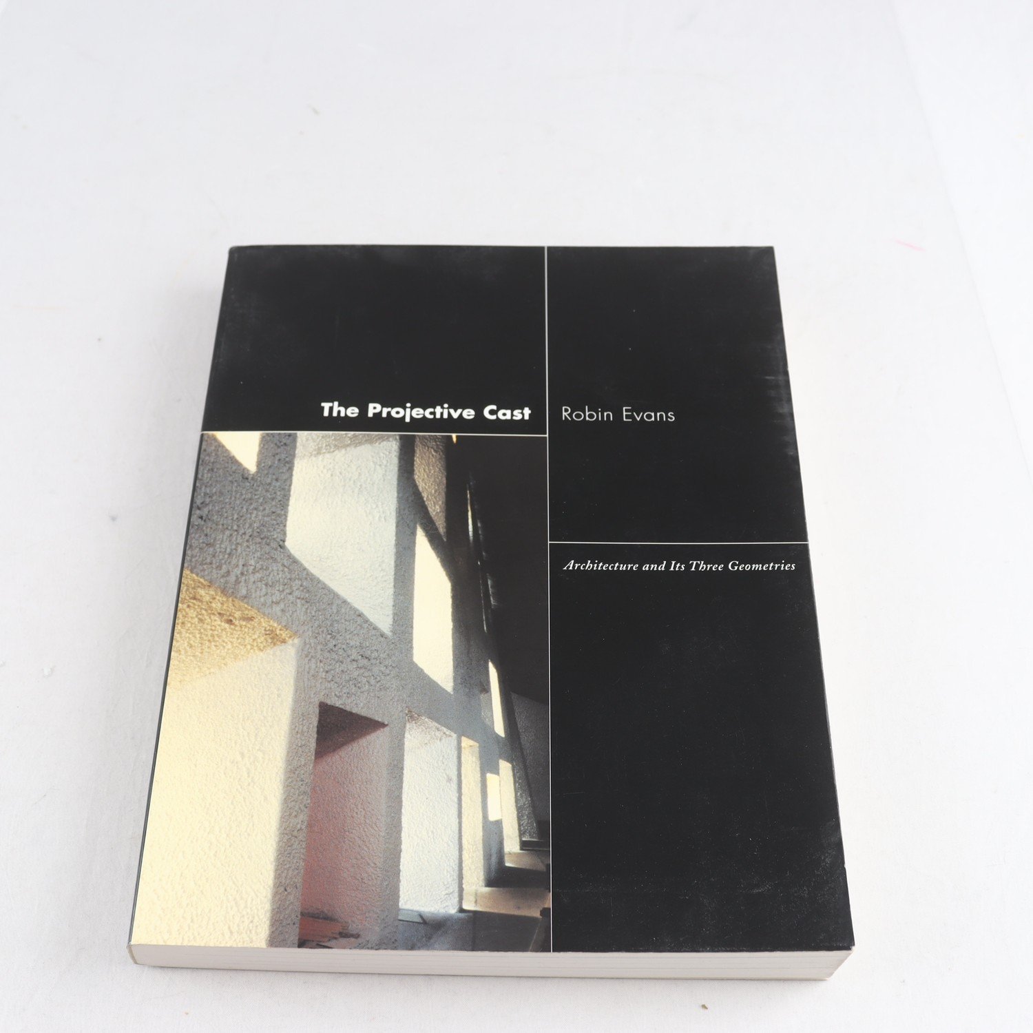 Robin Evans, The Projective Cast