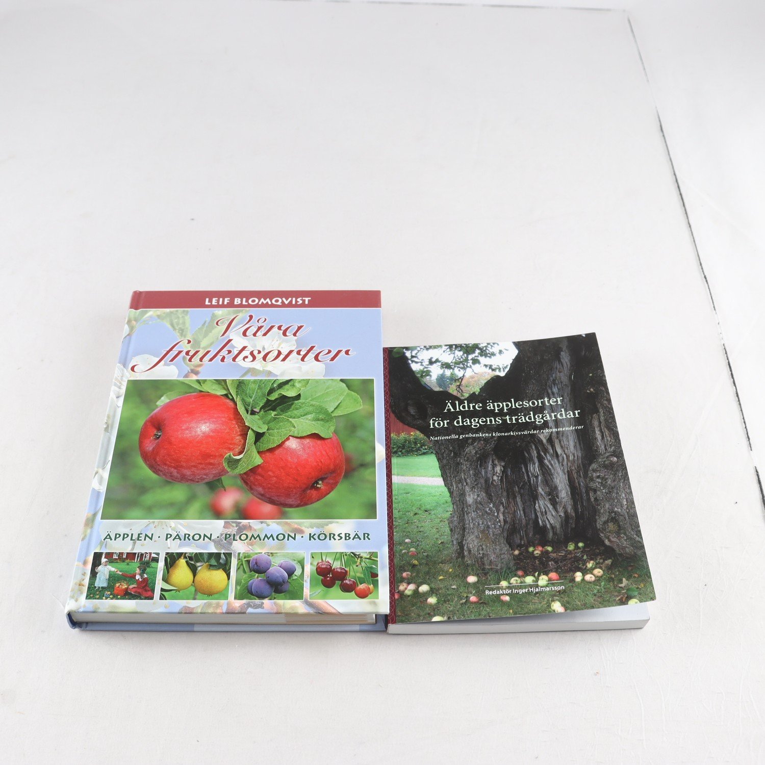 Äldre äppelsorter för dagens trädgårdar + Våra fruktsorter