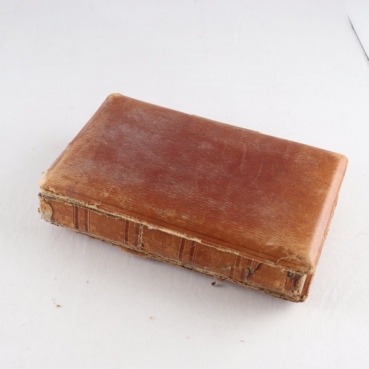 Fotoalbum med porträtt, omkring år 1900