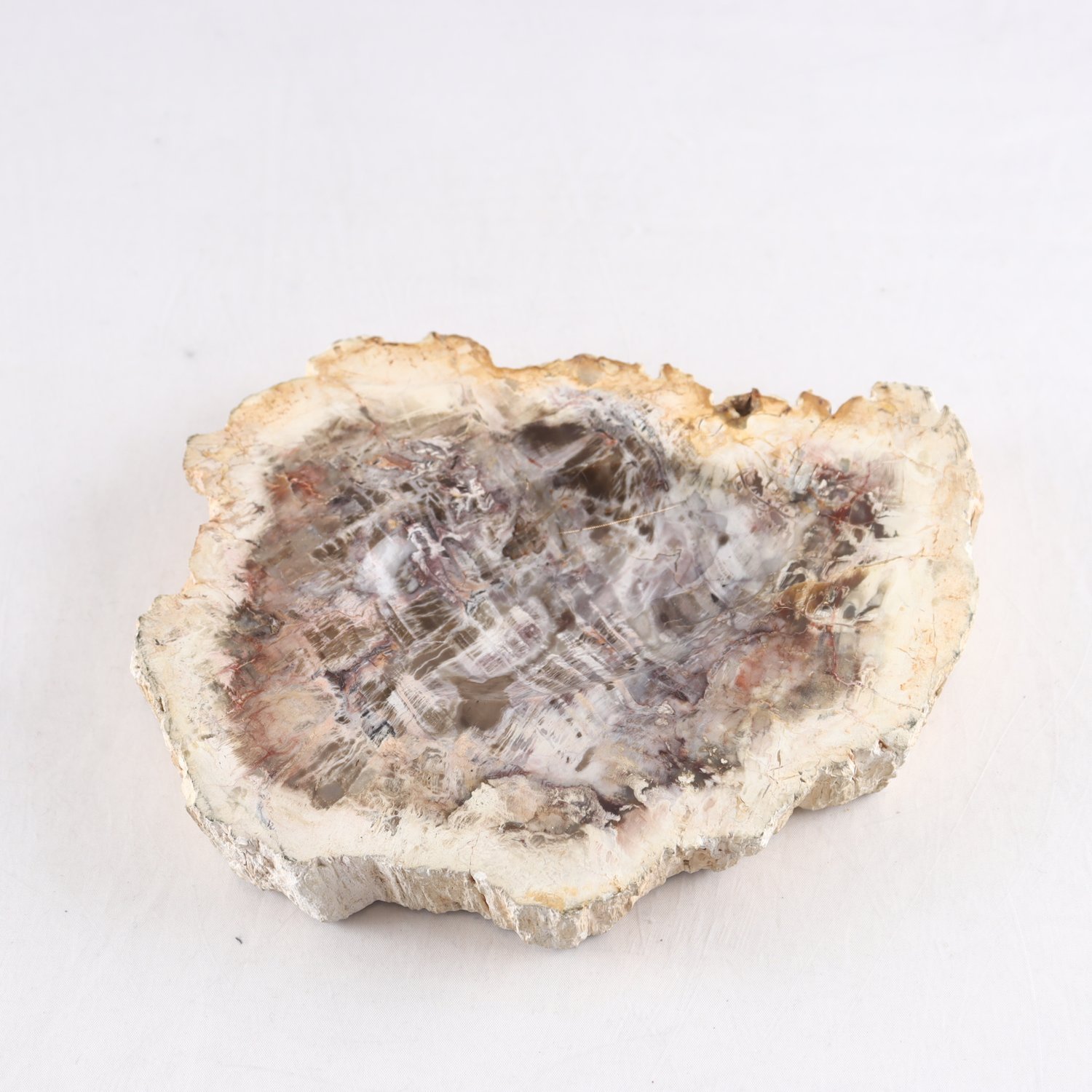 Fat, Skål, Petrified Wood, Förstenat trä, dekoration.