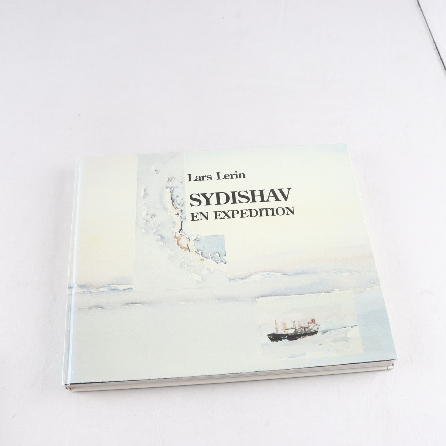 Lars Lerin, Sydishav: En expedition
