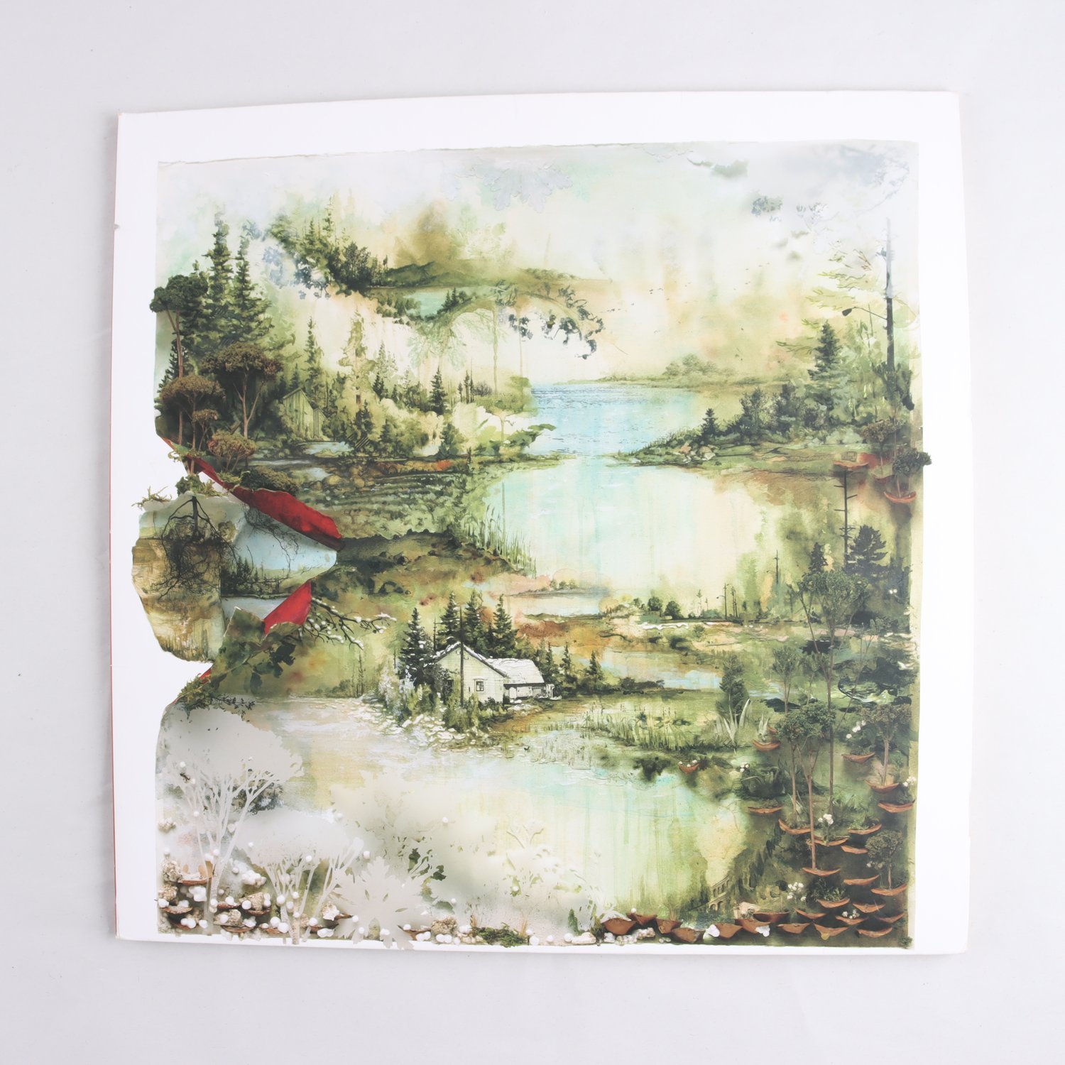 LP Bon Iver, Bon Iver, Bon Iver