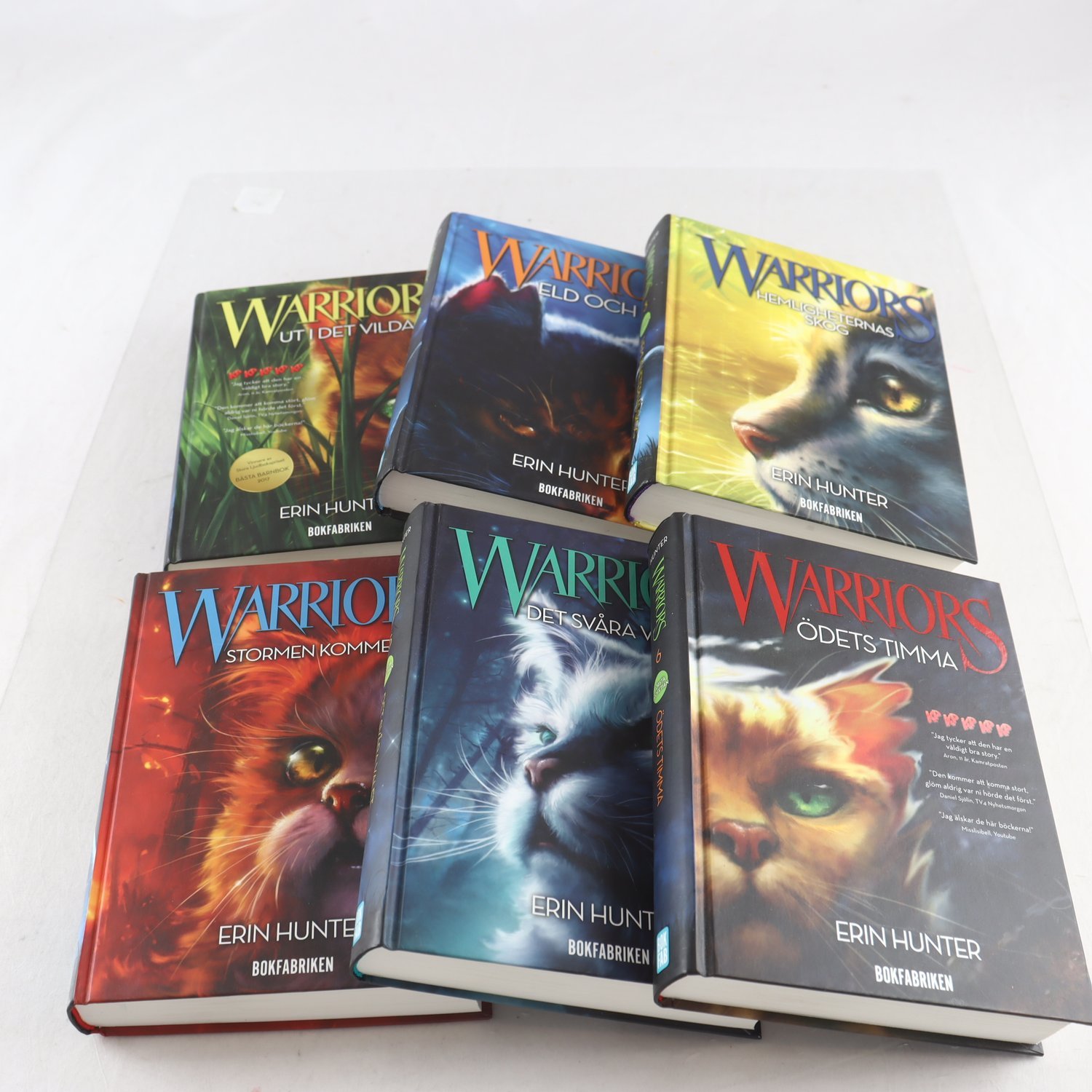 Erin Hunter, Warriors: Första profetian, Vol. 1-6