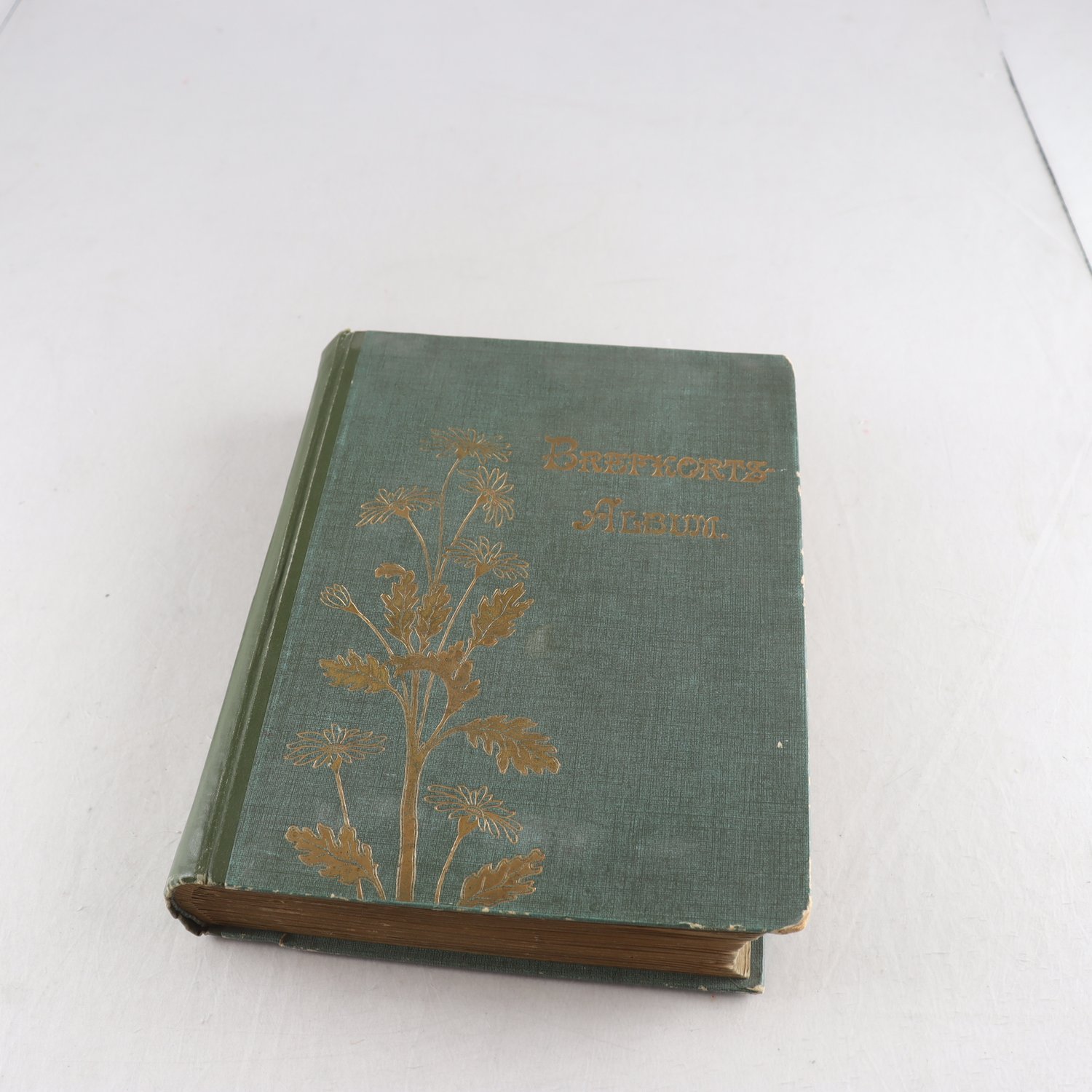 Brefkortsalbum, daterat 1902, jugendstil