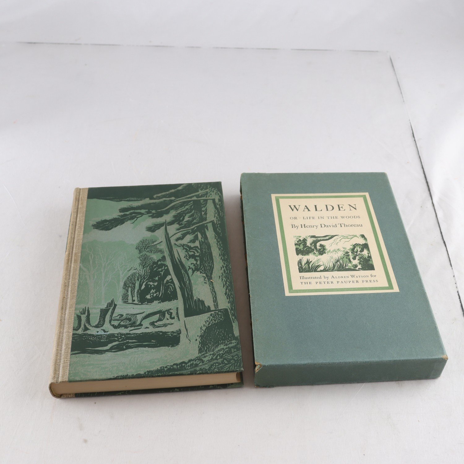 Henry David Thoreau, Walden or Life in the Woods