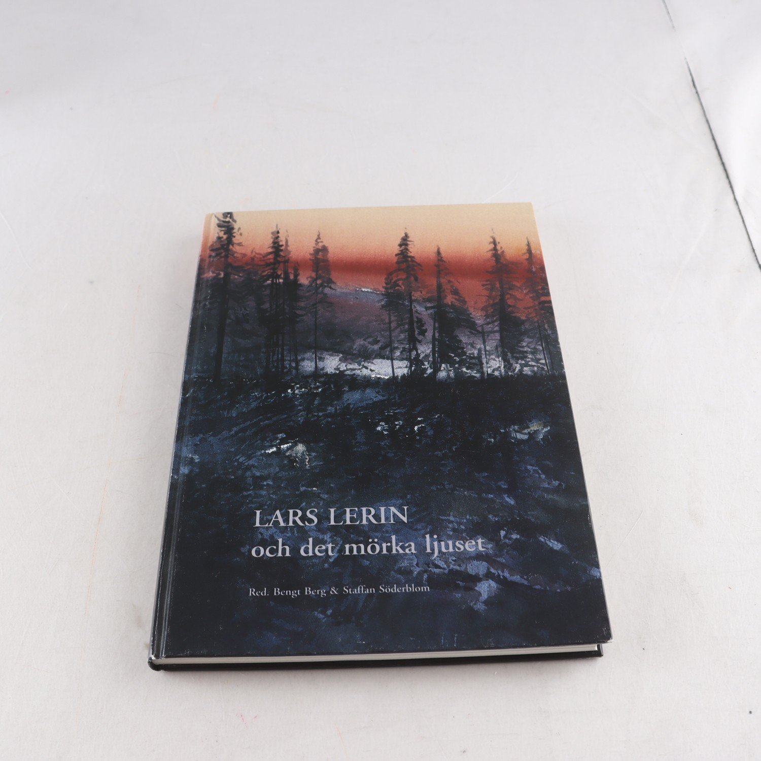 Lars Lerin och det mörka ljuset