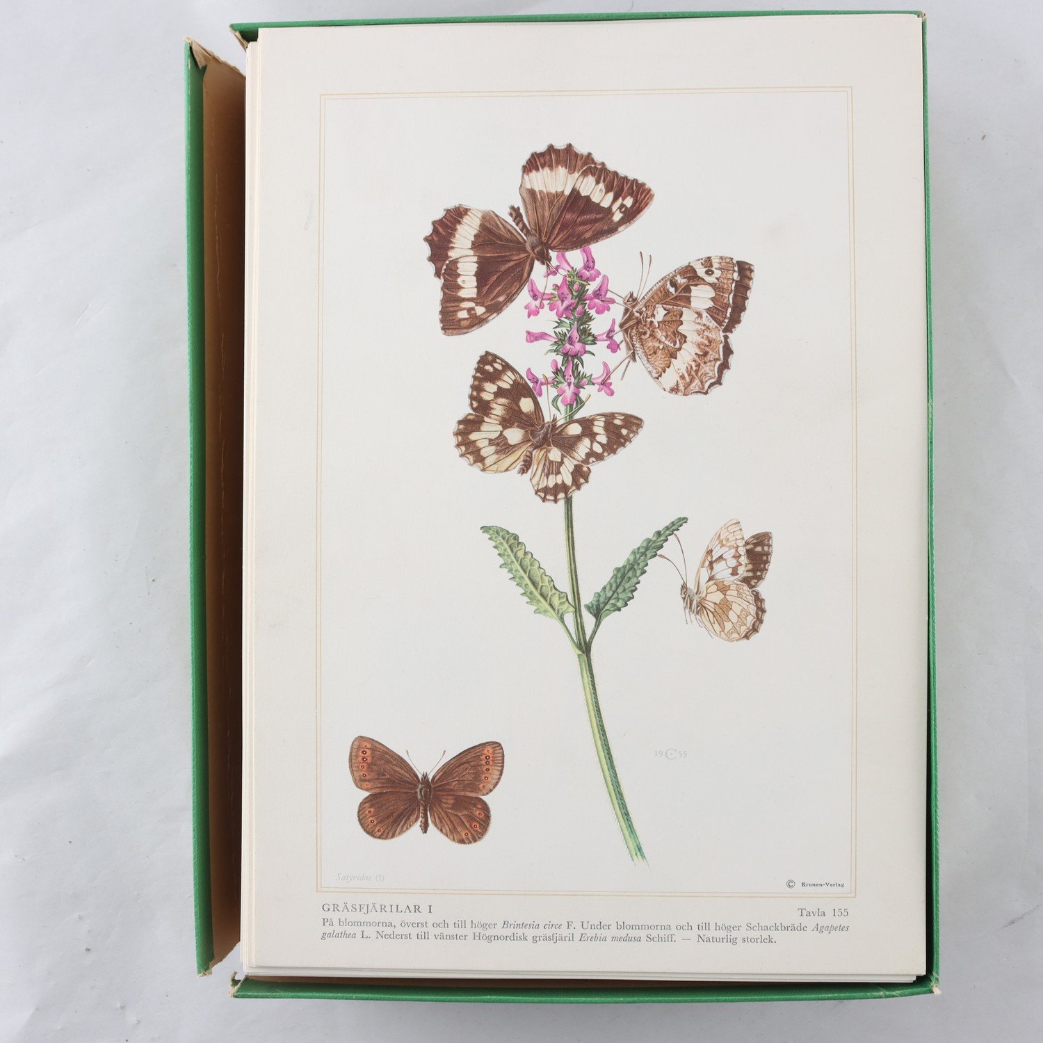 Insekter i bild, 184 planscher + textbok