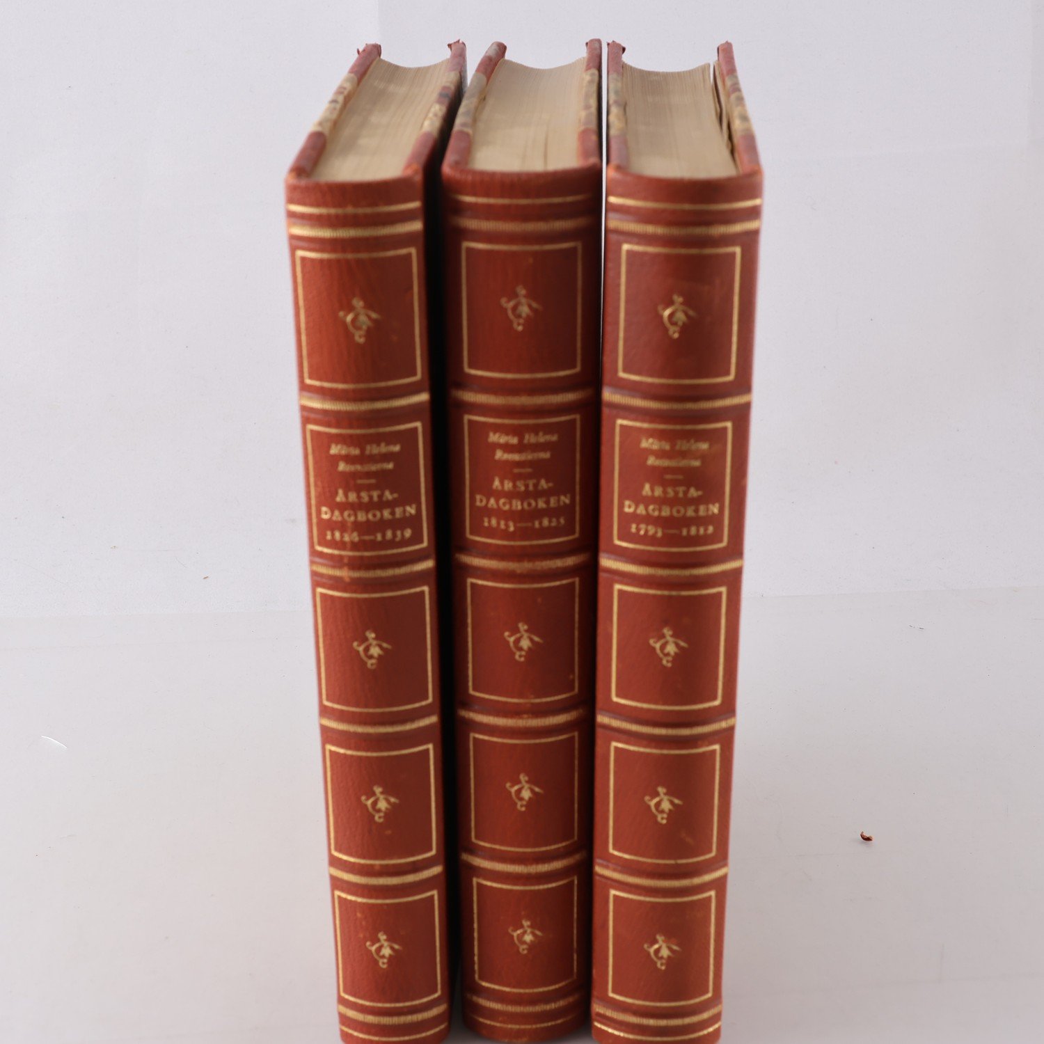 Märta Helena Reenstierna, Årstadagboken, Vol. I-III