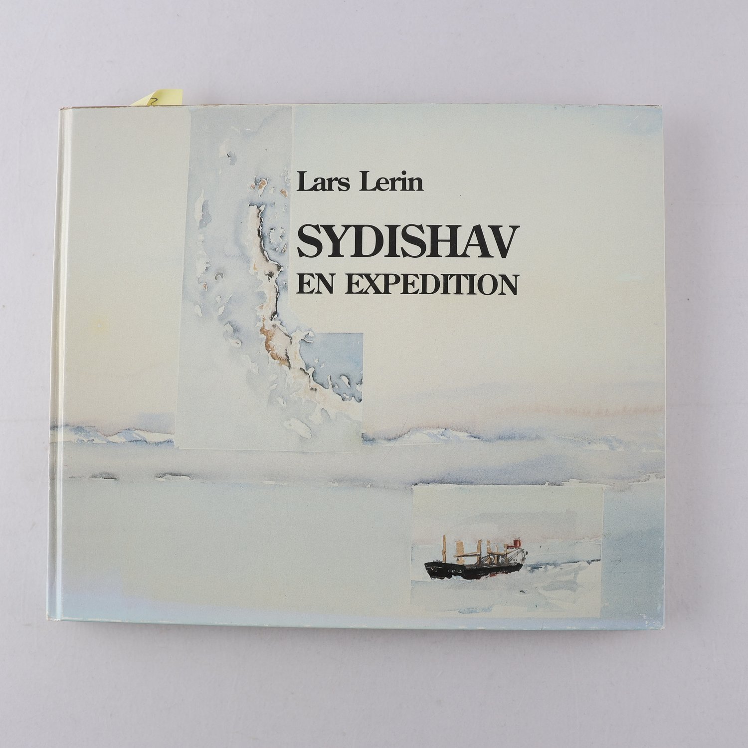 Lars Lerin, Sydishav
