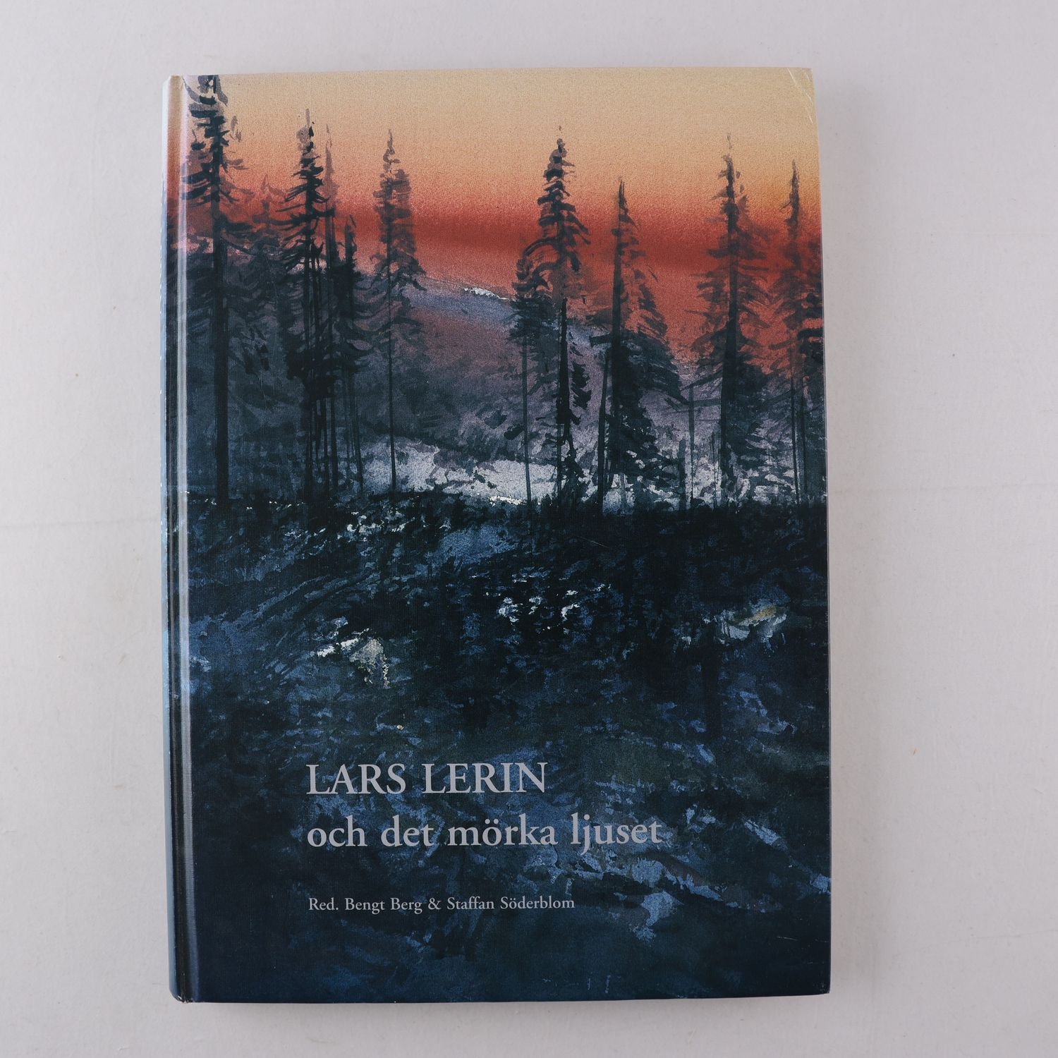 Lars Lerin och det mörka ljuset